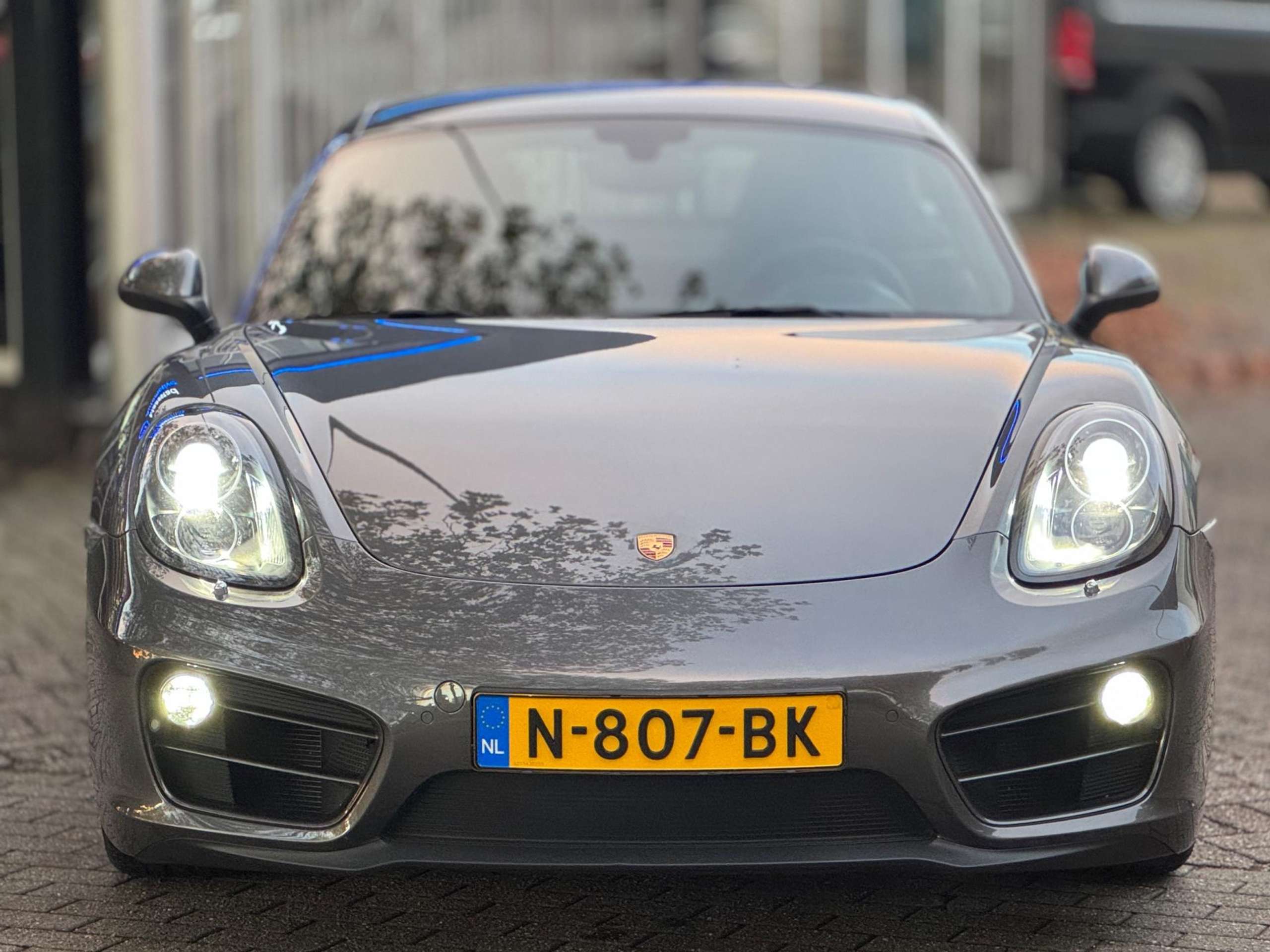 Porsche - Cayman