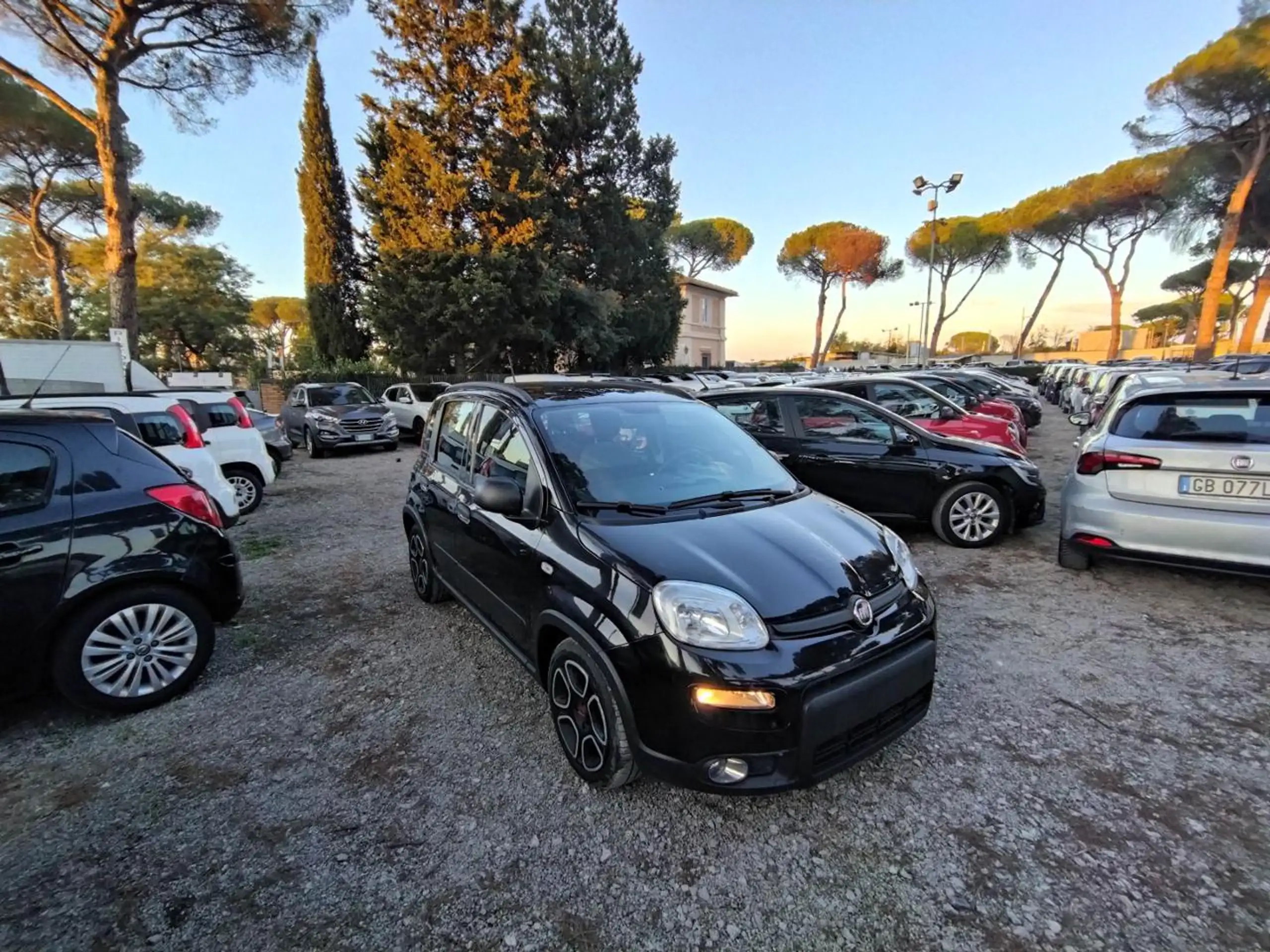 Fiat - New Panda