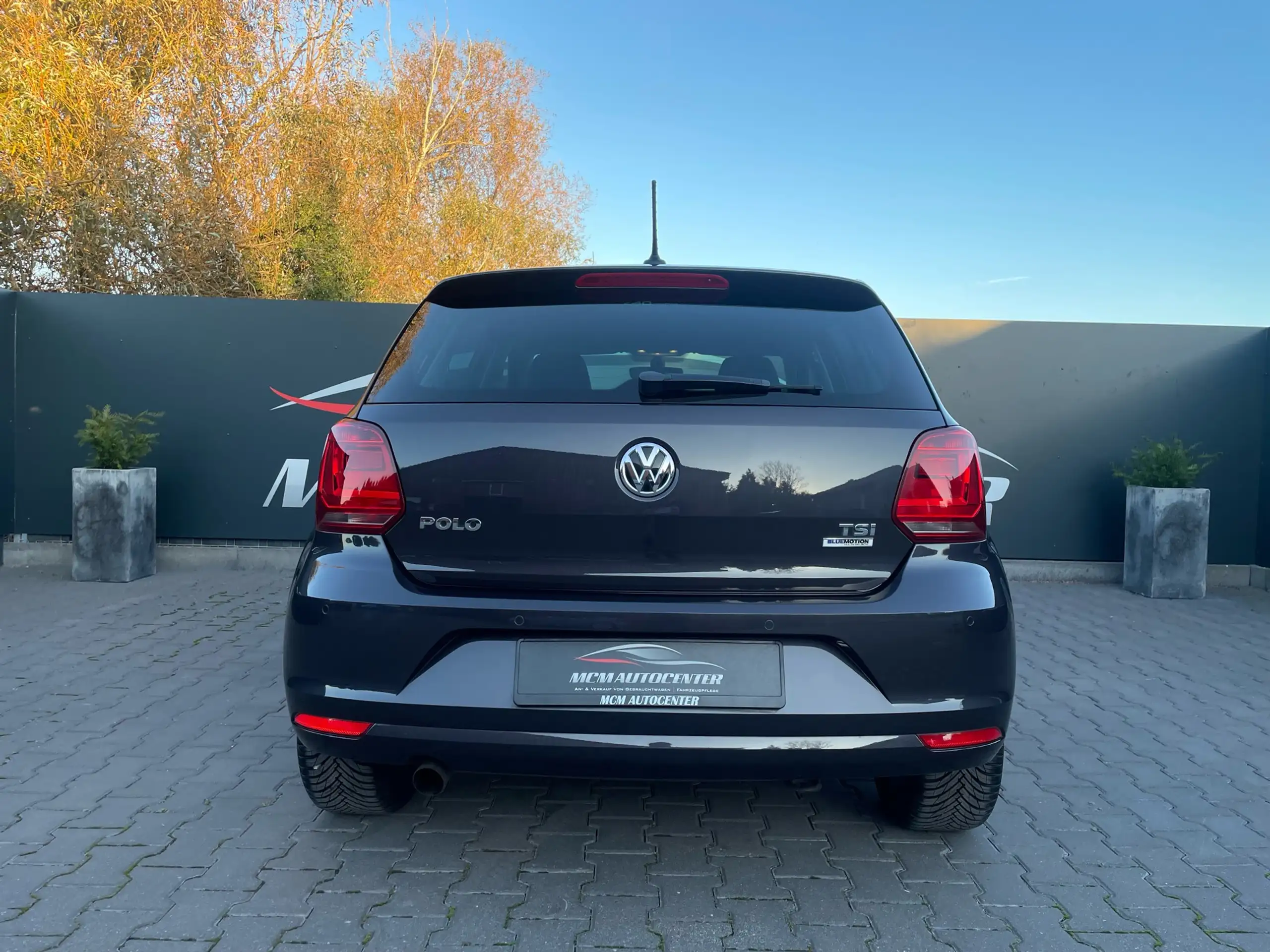 Volkswagen - Polo