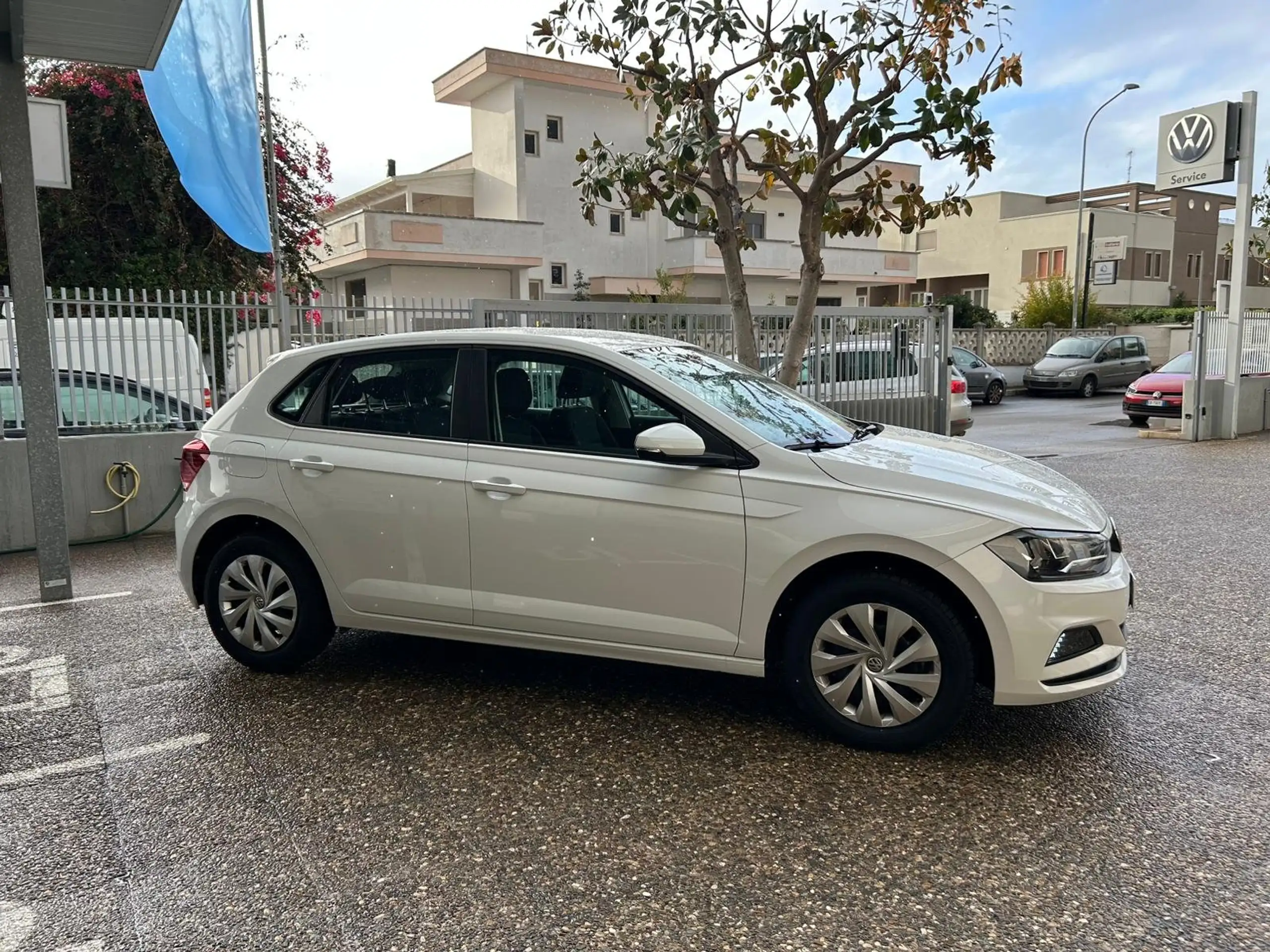 Volkswagen - Polo