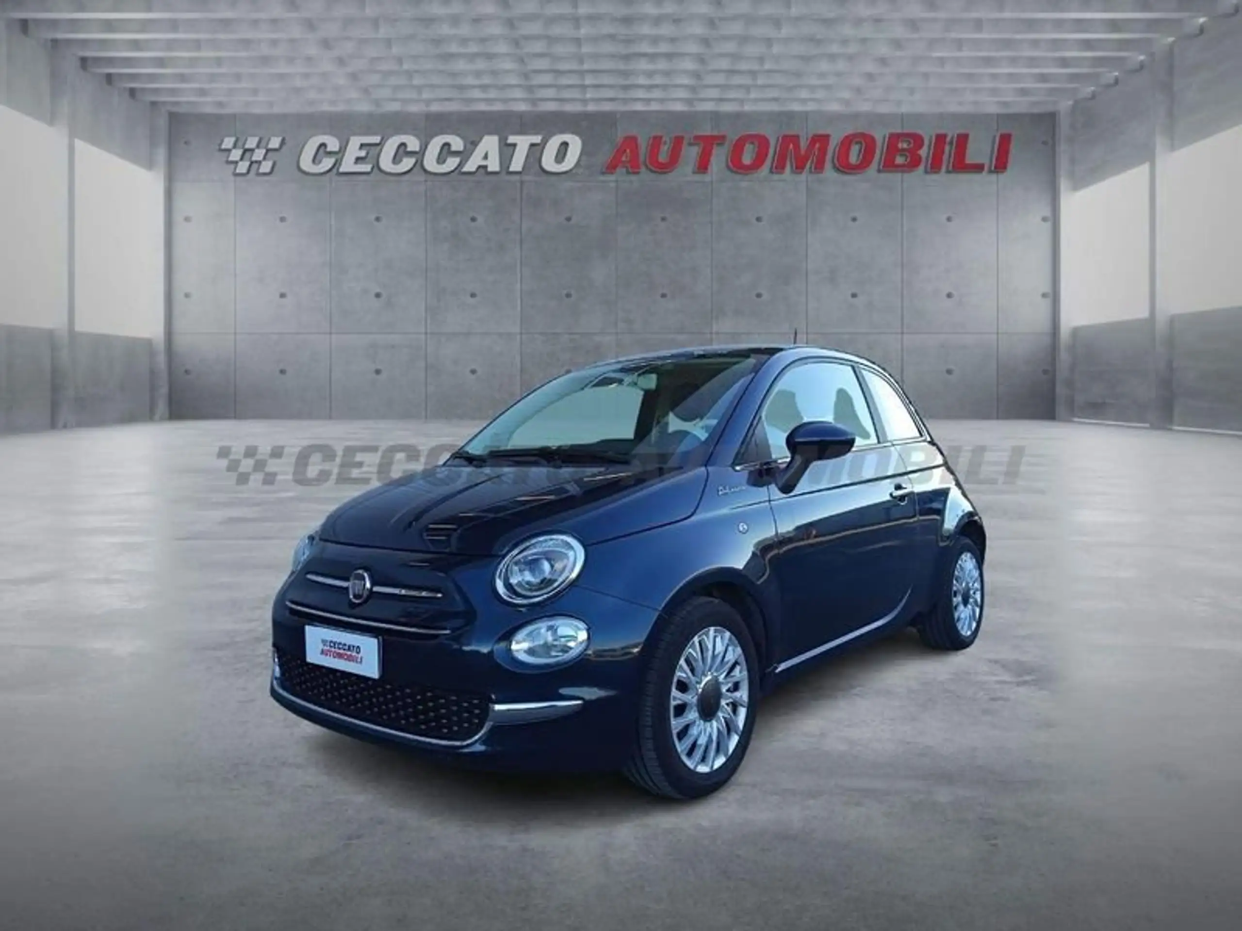 Fiat - 500