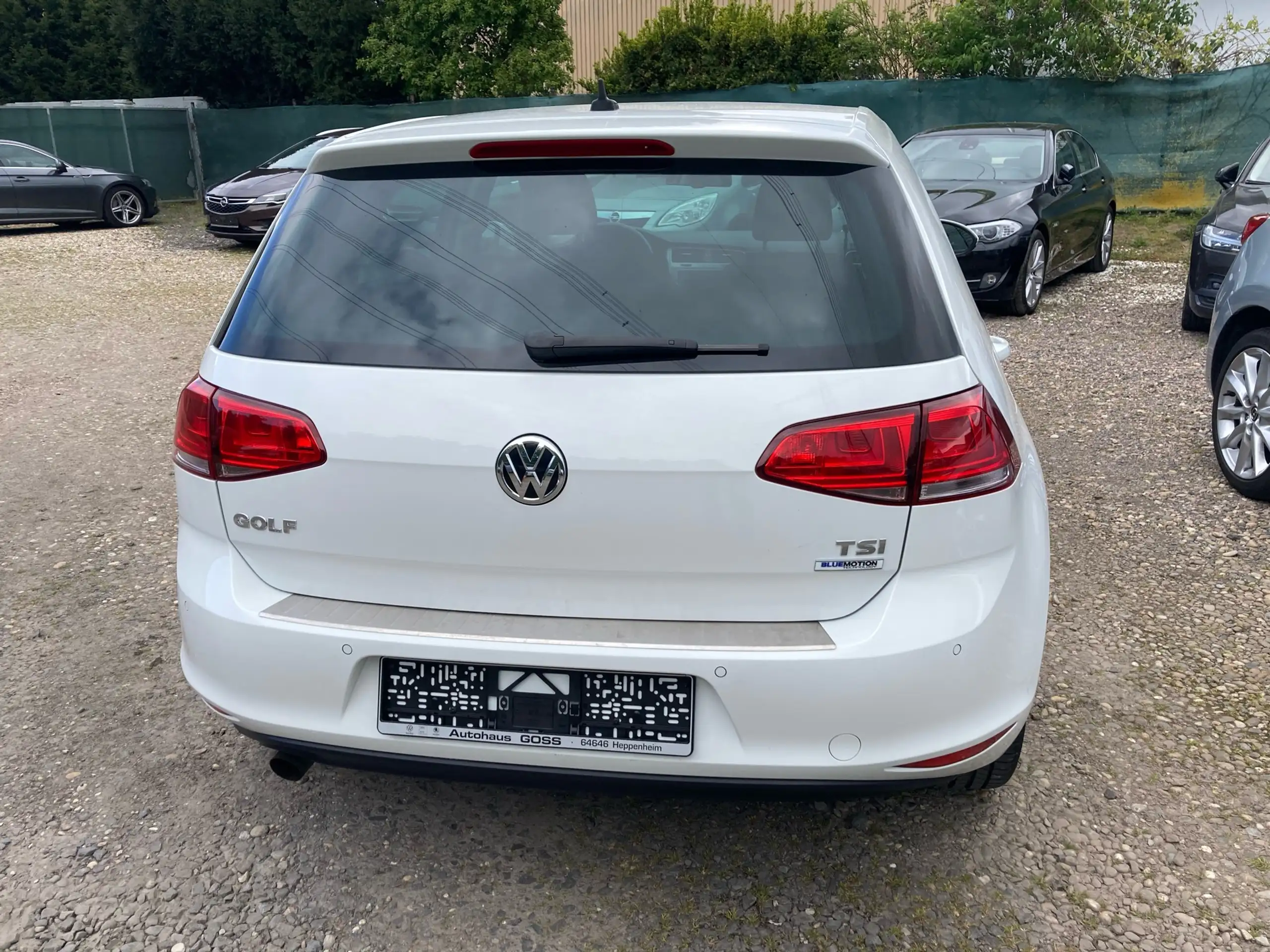 Volkswagen - Golf