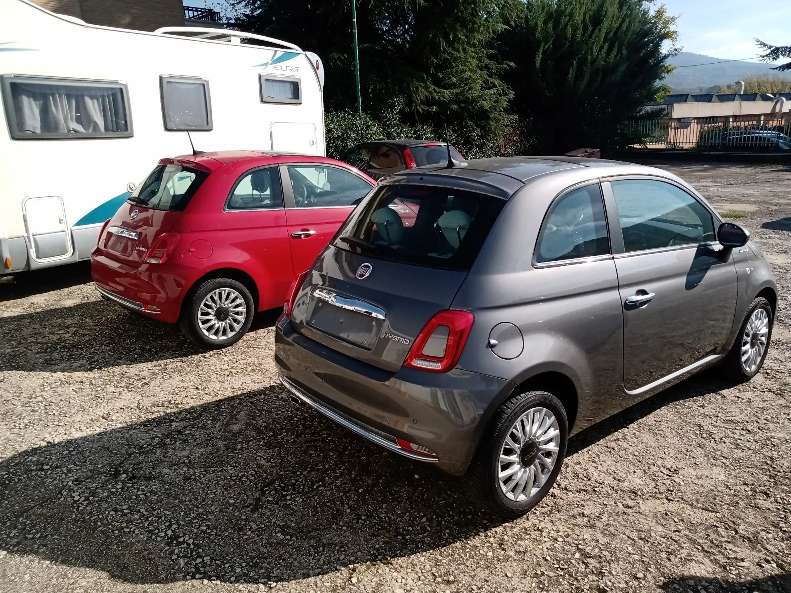 Fiat - 500