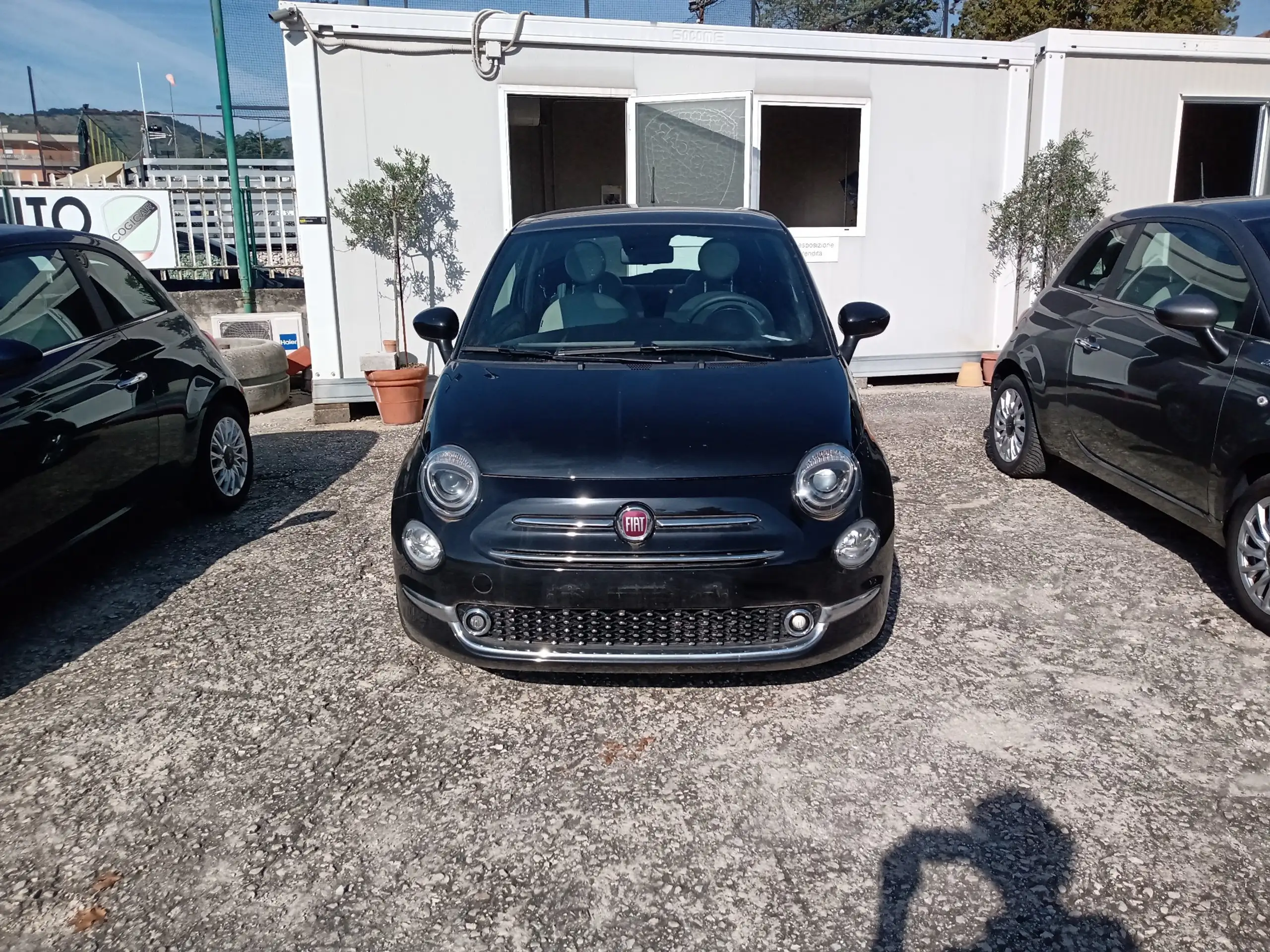 Fiat - 500