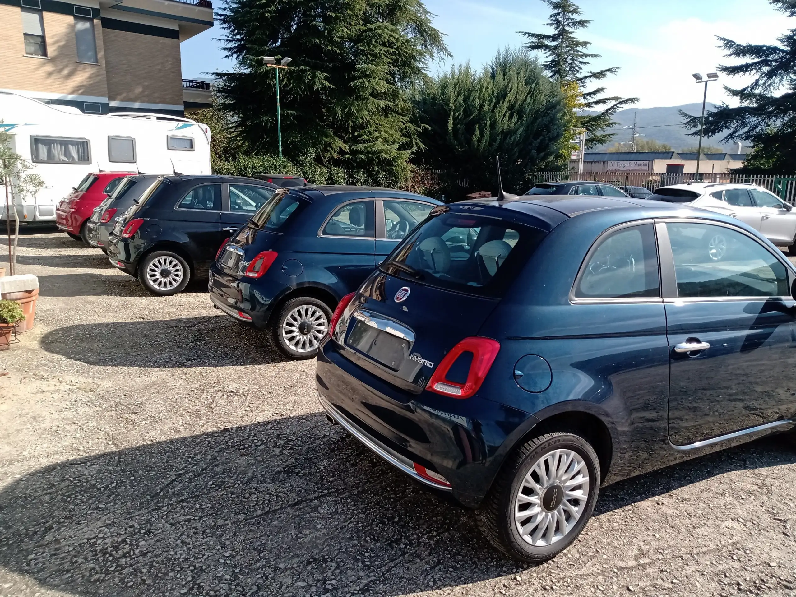 Fiat - 500