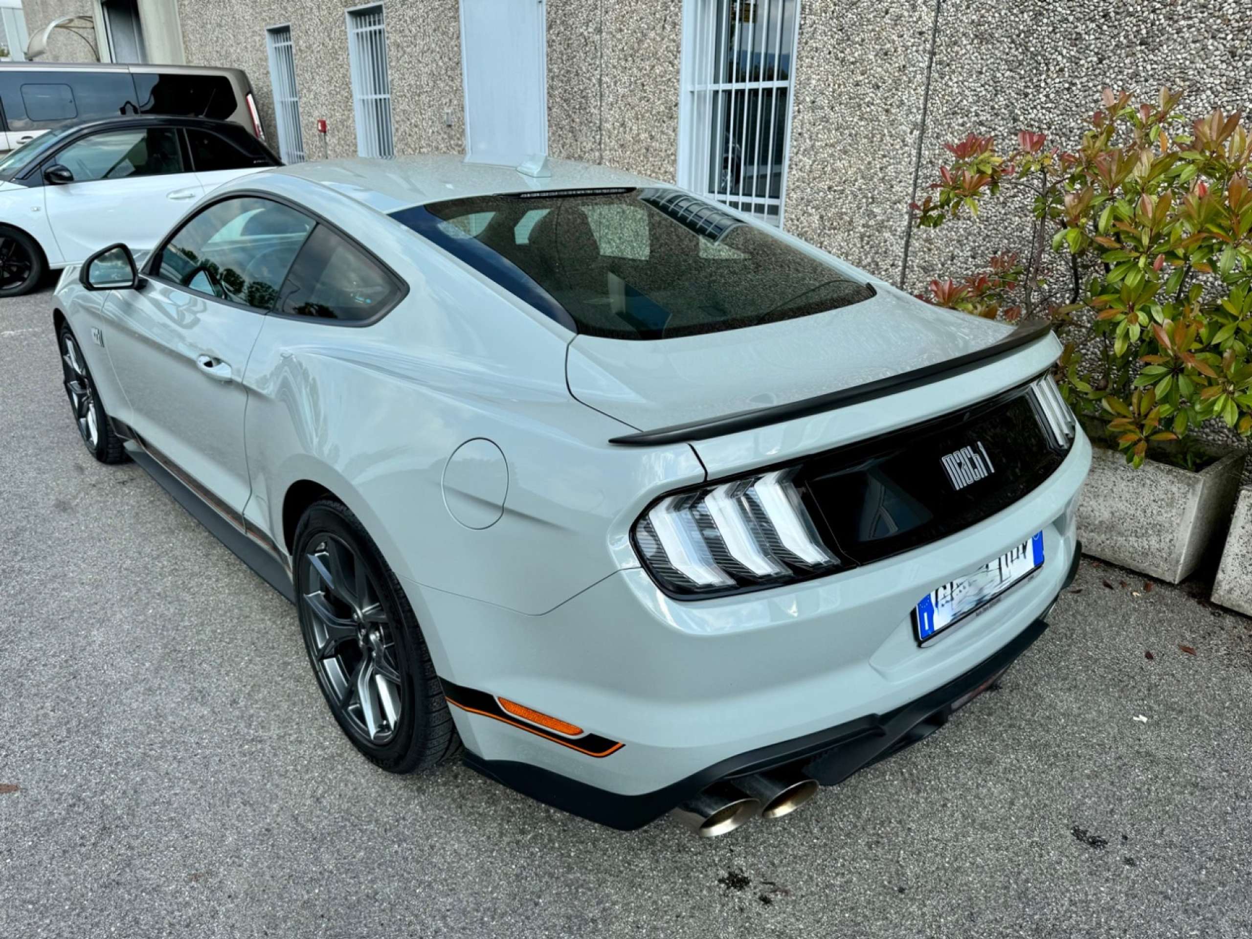 Ford - Mustang