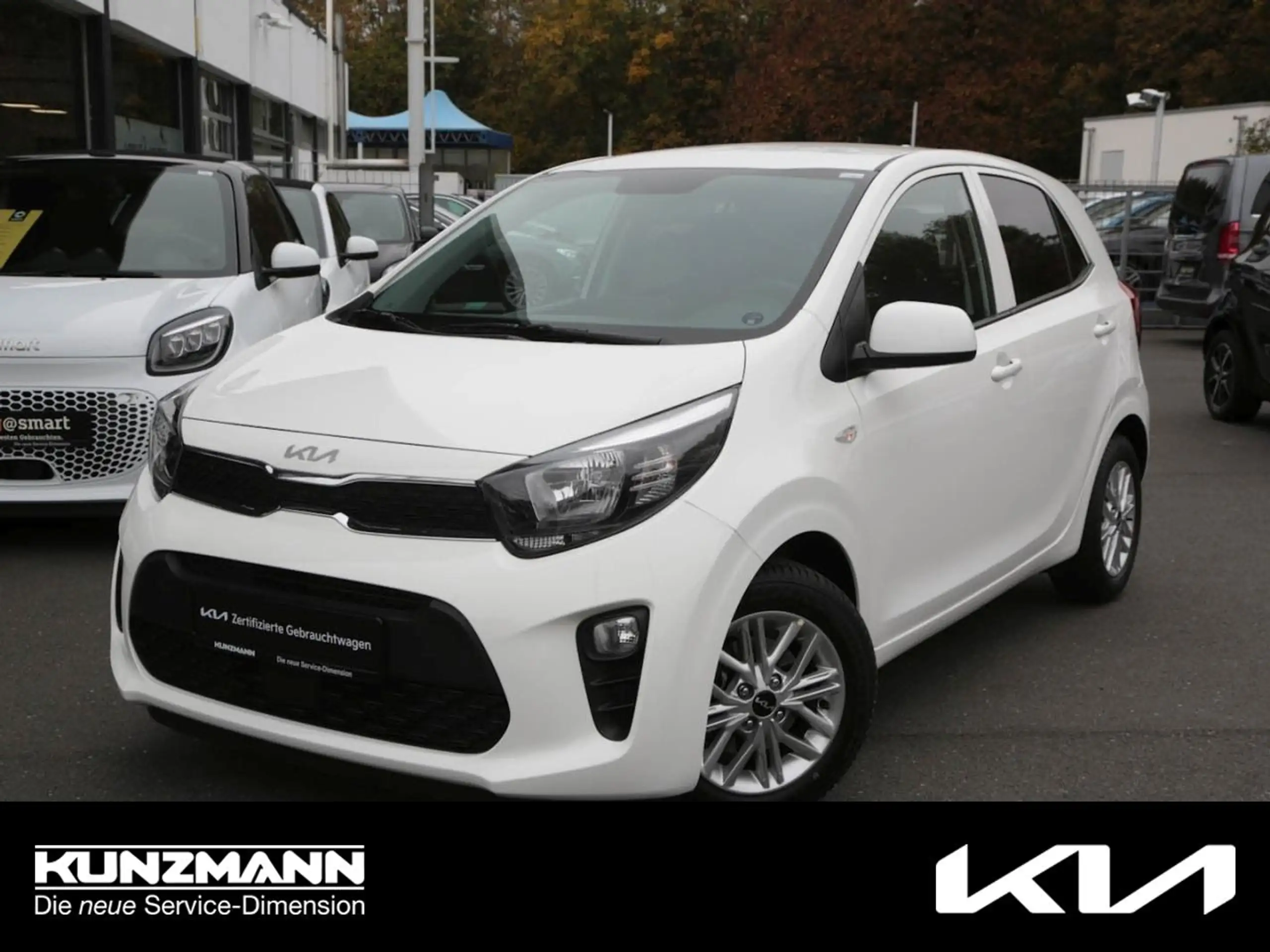 Kia - Picanto