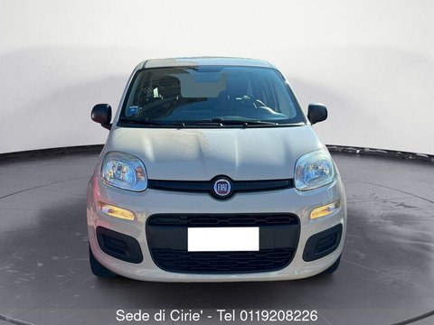 Fiat - Panda