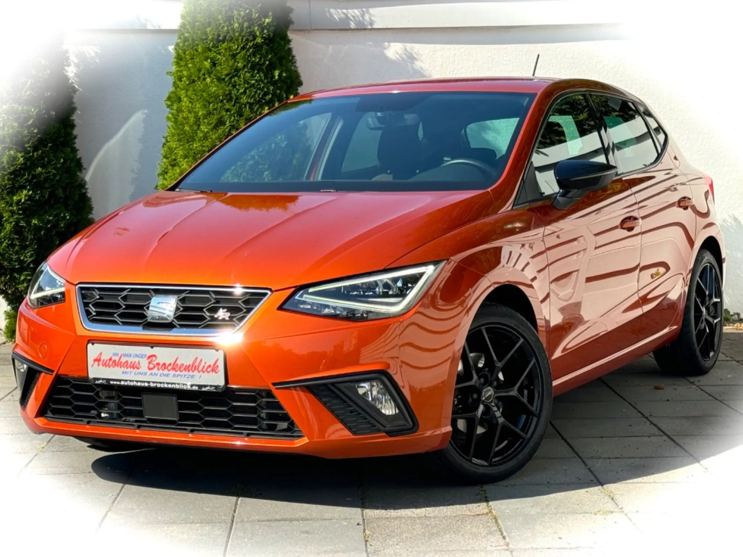 SEAT - Ibiza