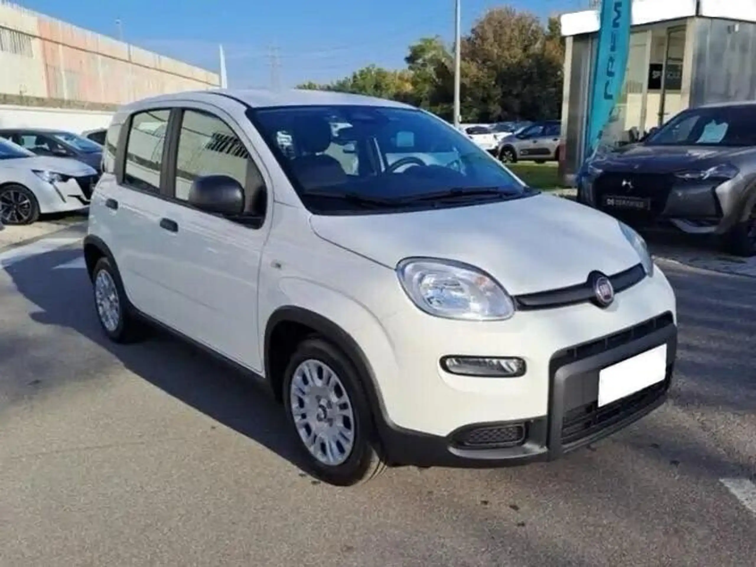 Fiat - Panda