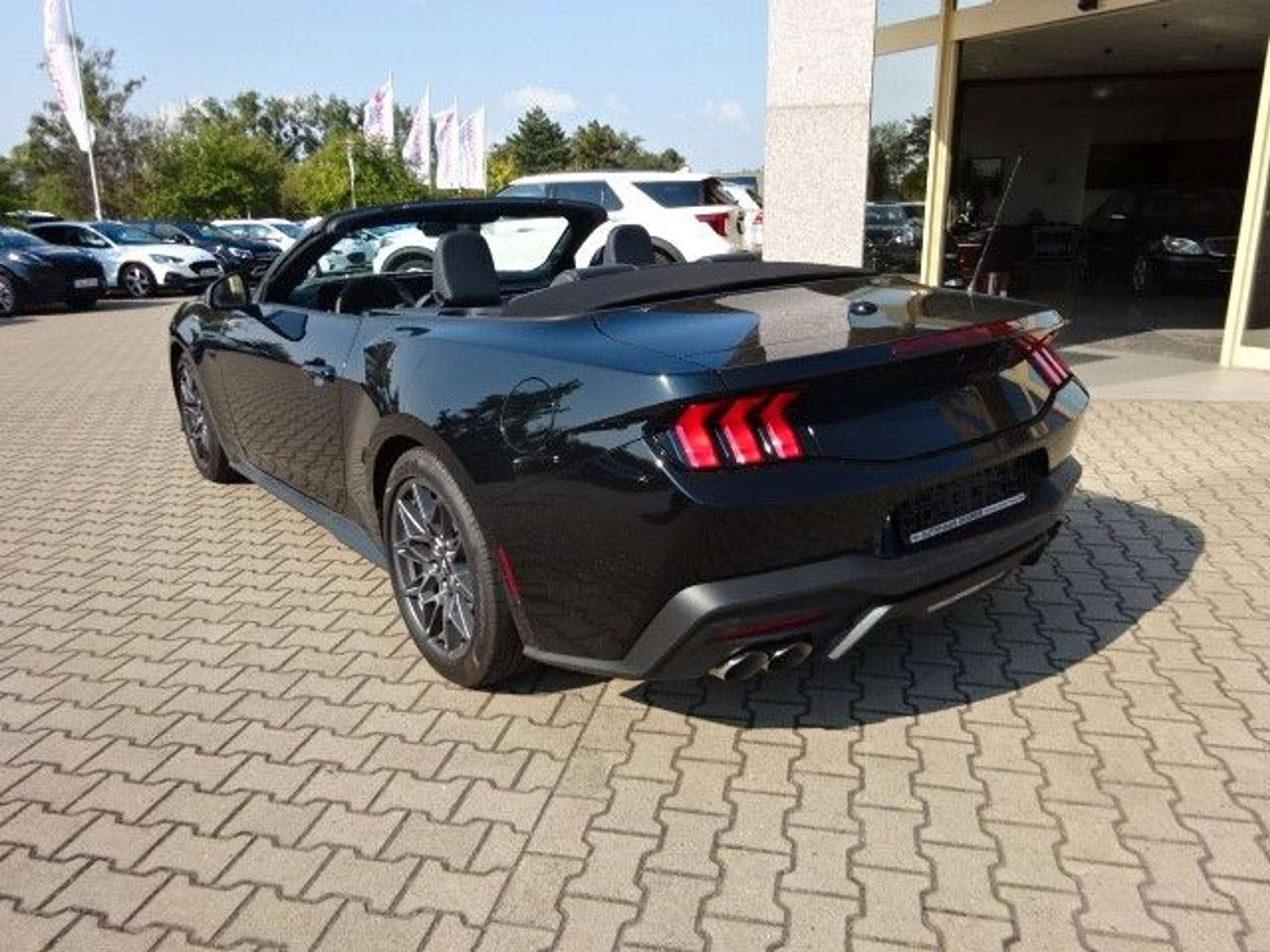 Ford - Mustang