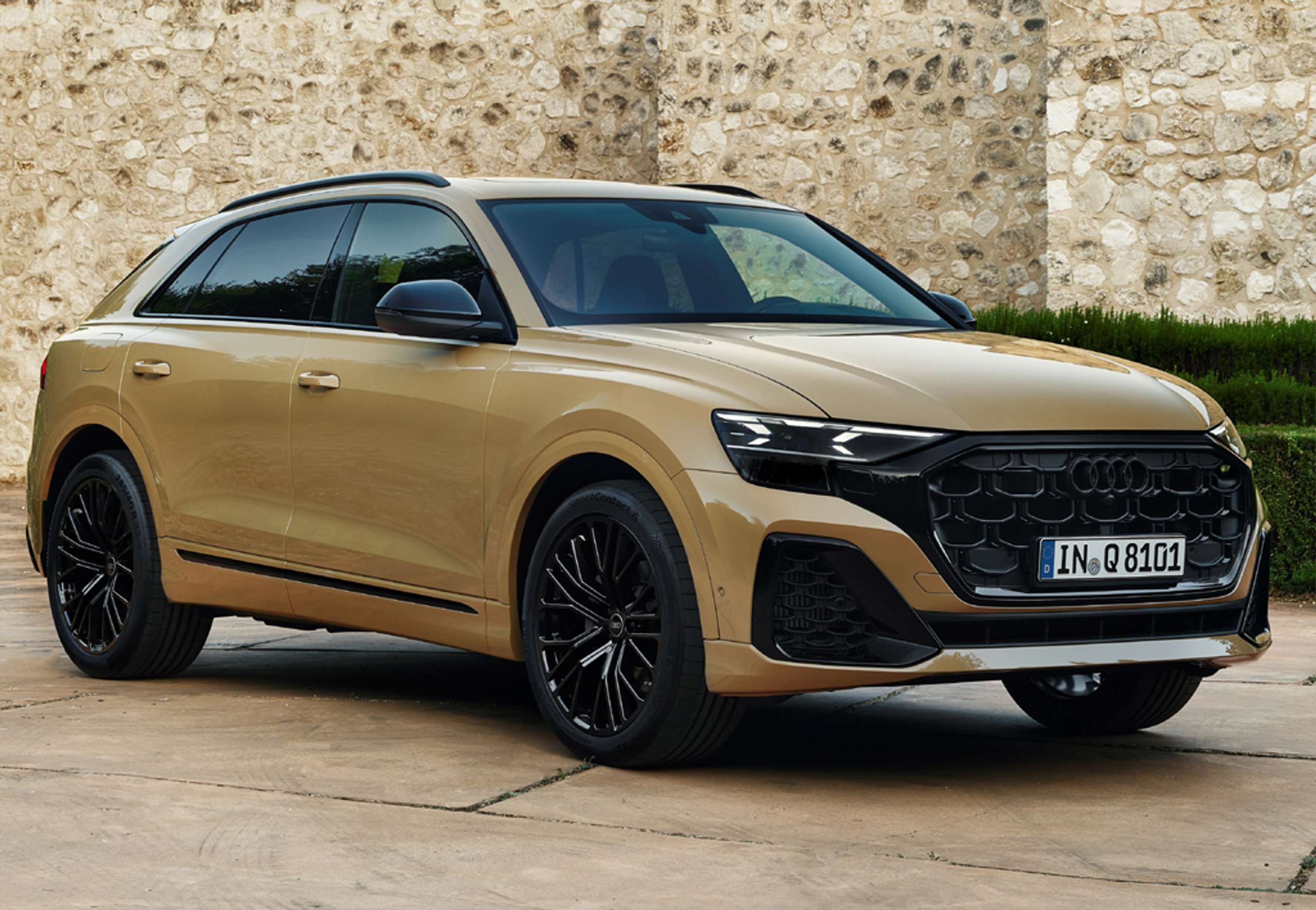 Audi Q8 2019