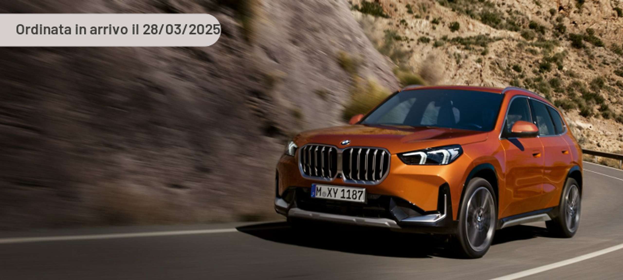 BMW - X1