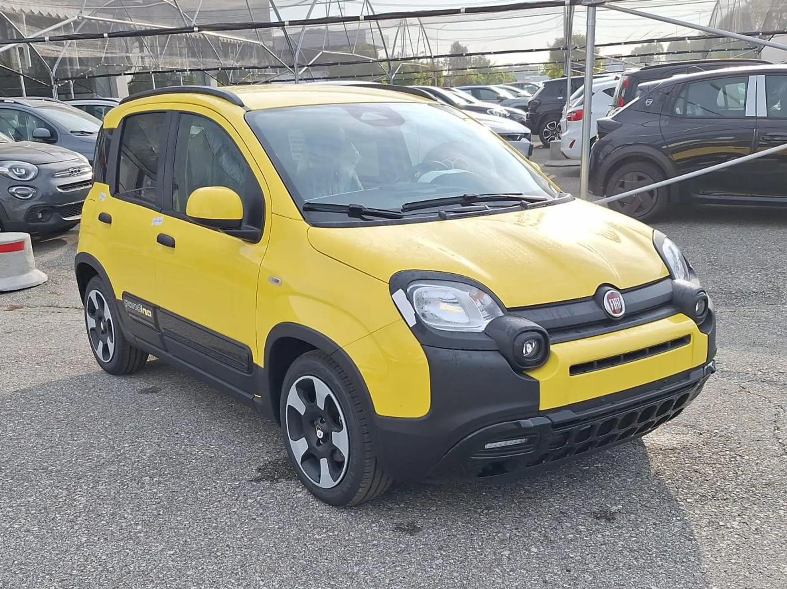 Fiat - Panda