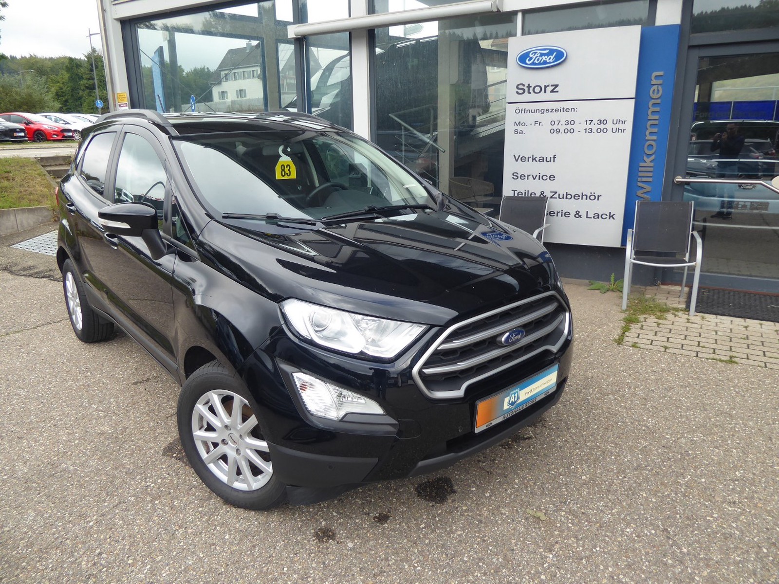 Ford EcoSport 2019 74CH