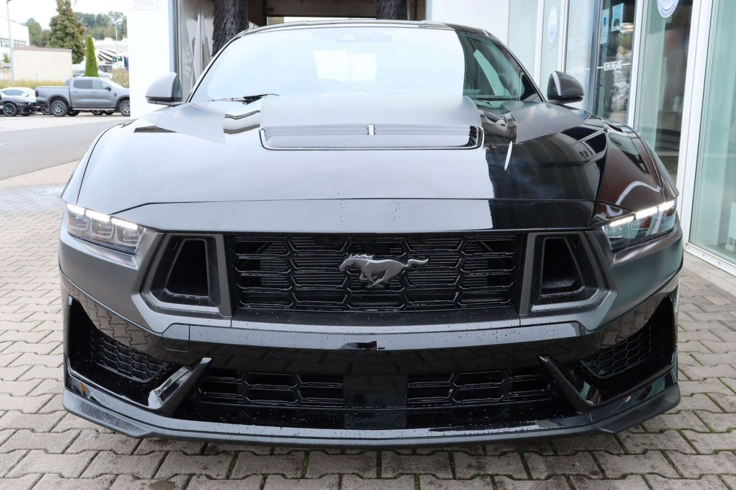 Ford - Mustang