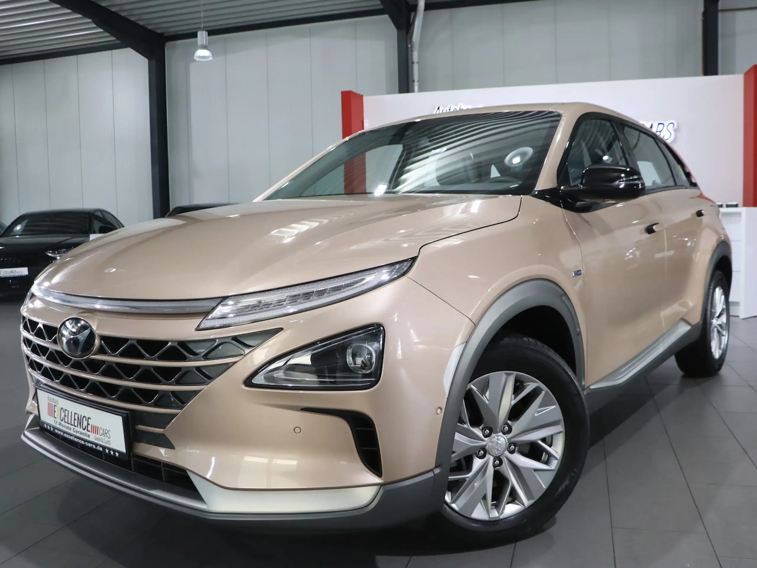 Hyundai - NEXO