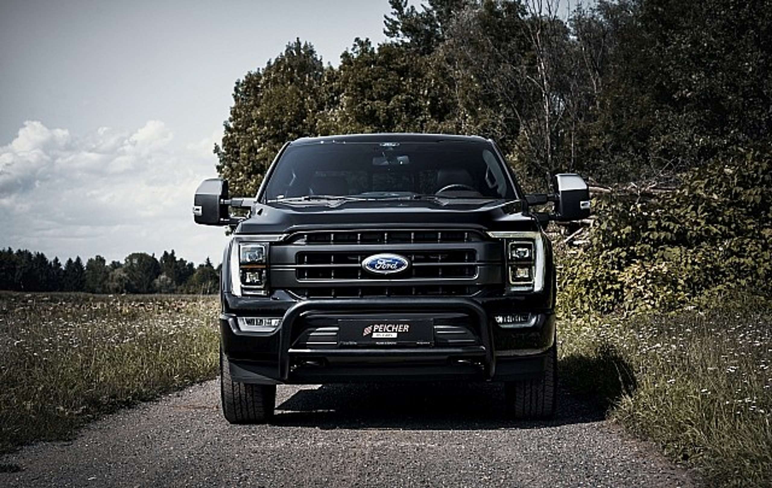 Ford - F 150