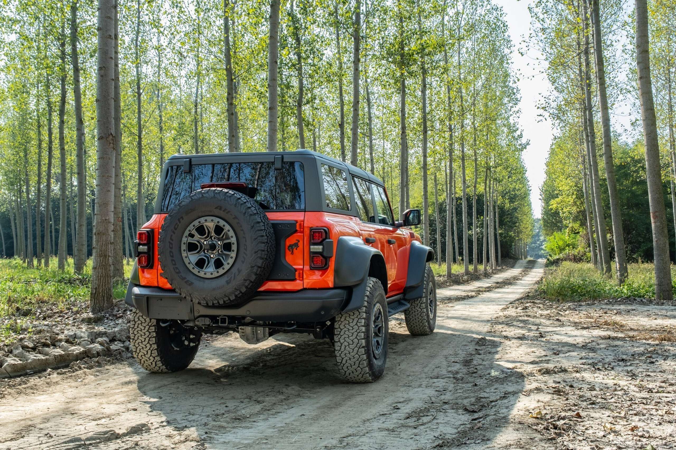 Ford - Bronco