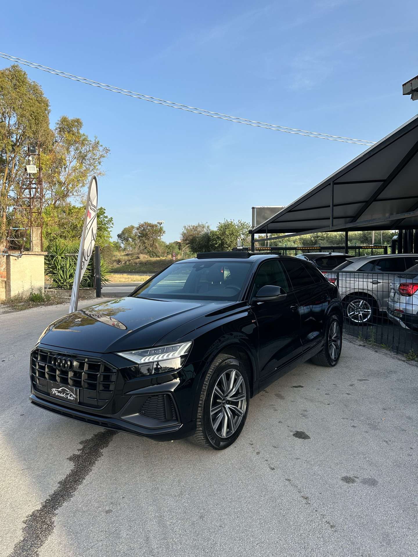 Audi Q8 2021