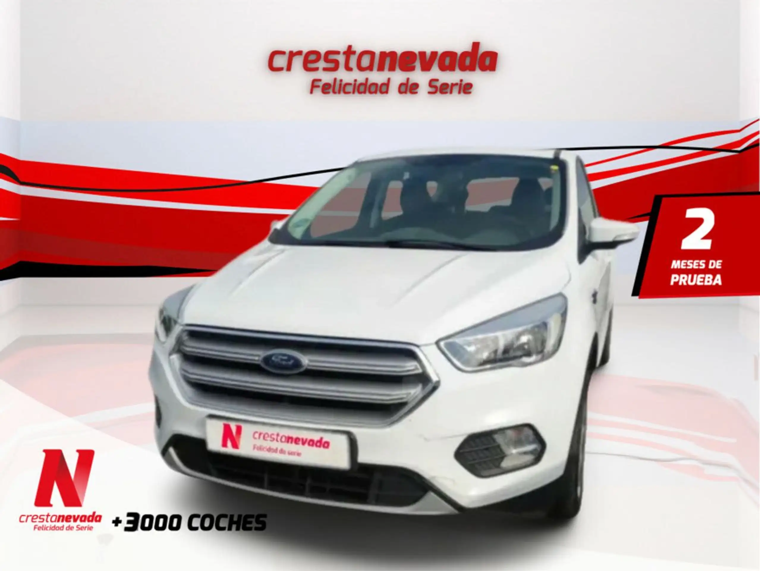 Ford - Kuga