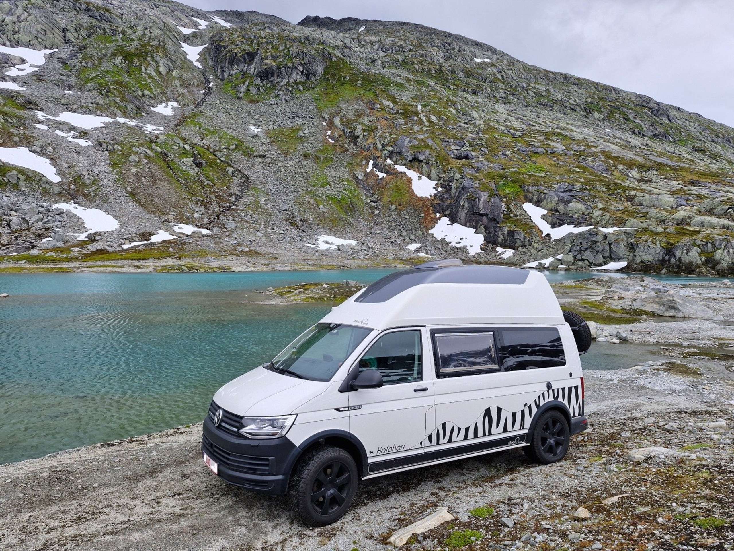 Volkswagen - T6 California