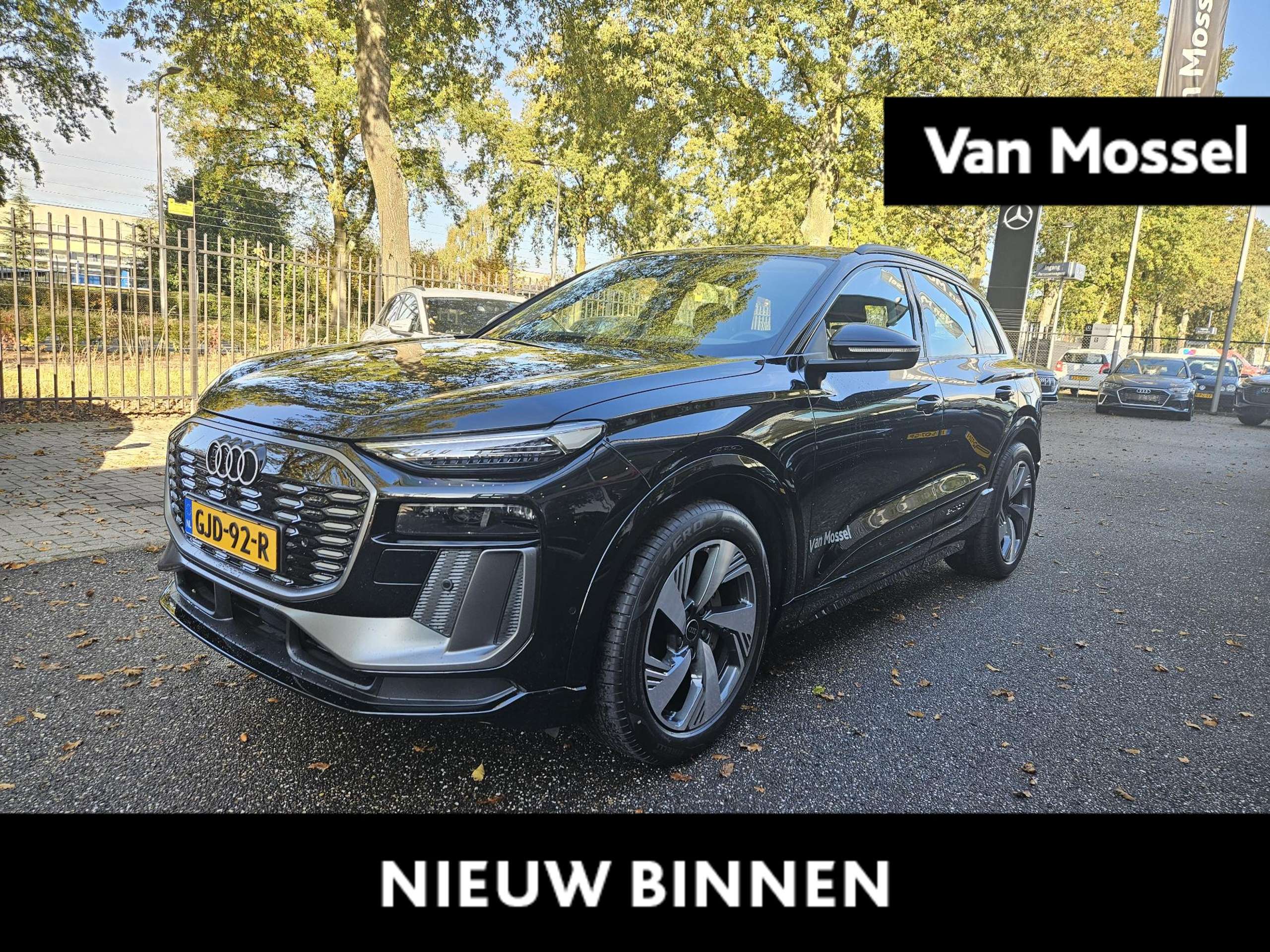 Audi - Q6