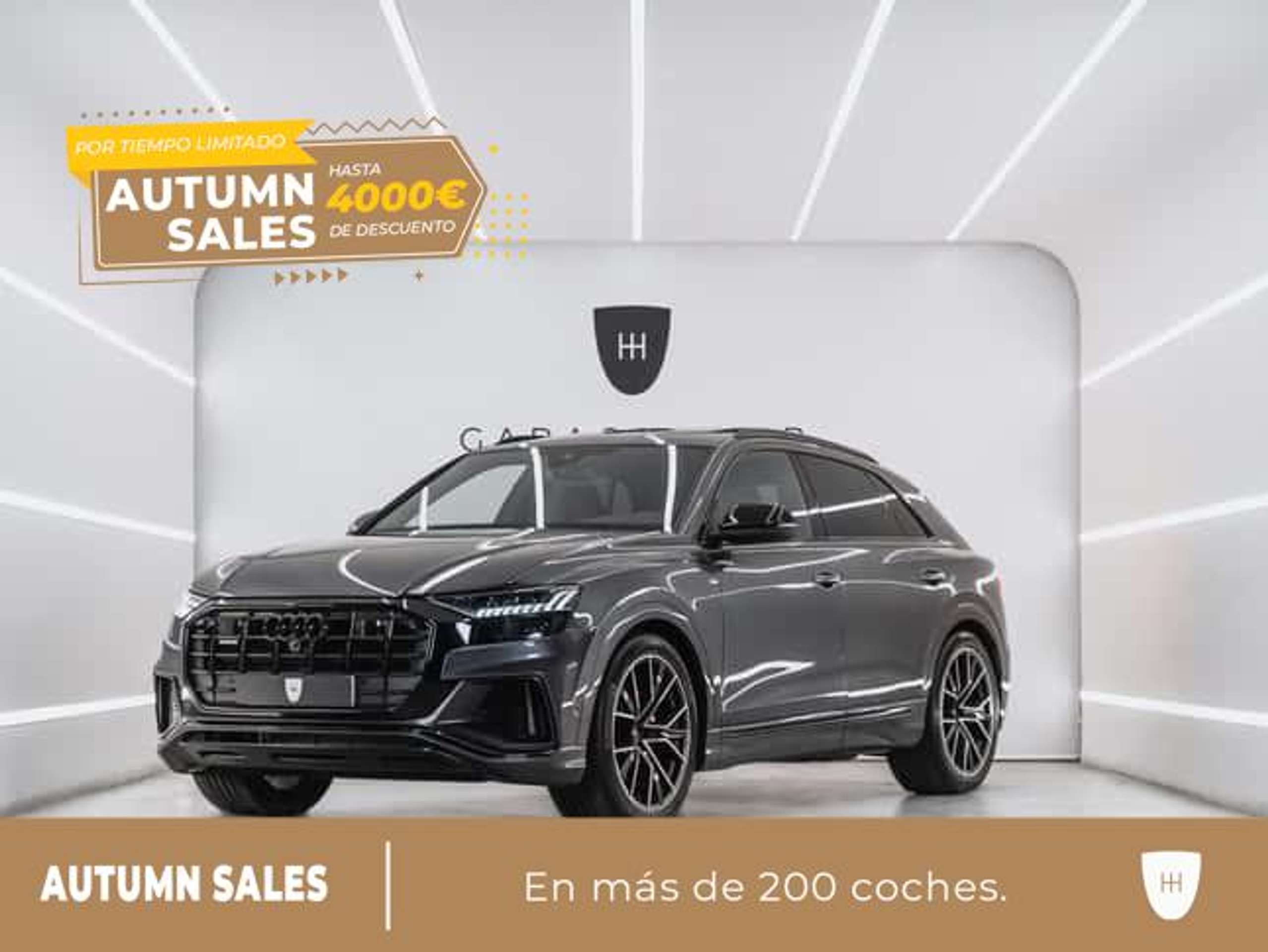 Audi Q8 2023