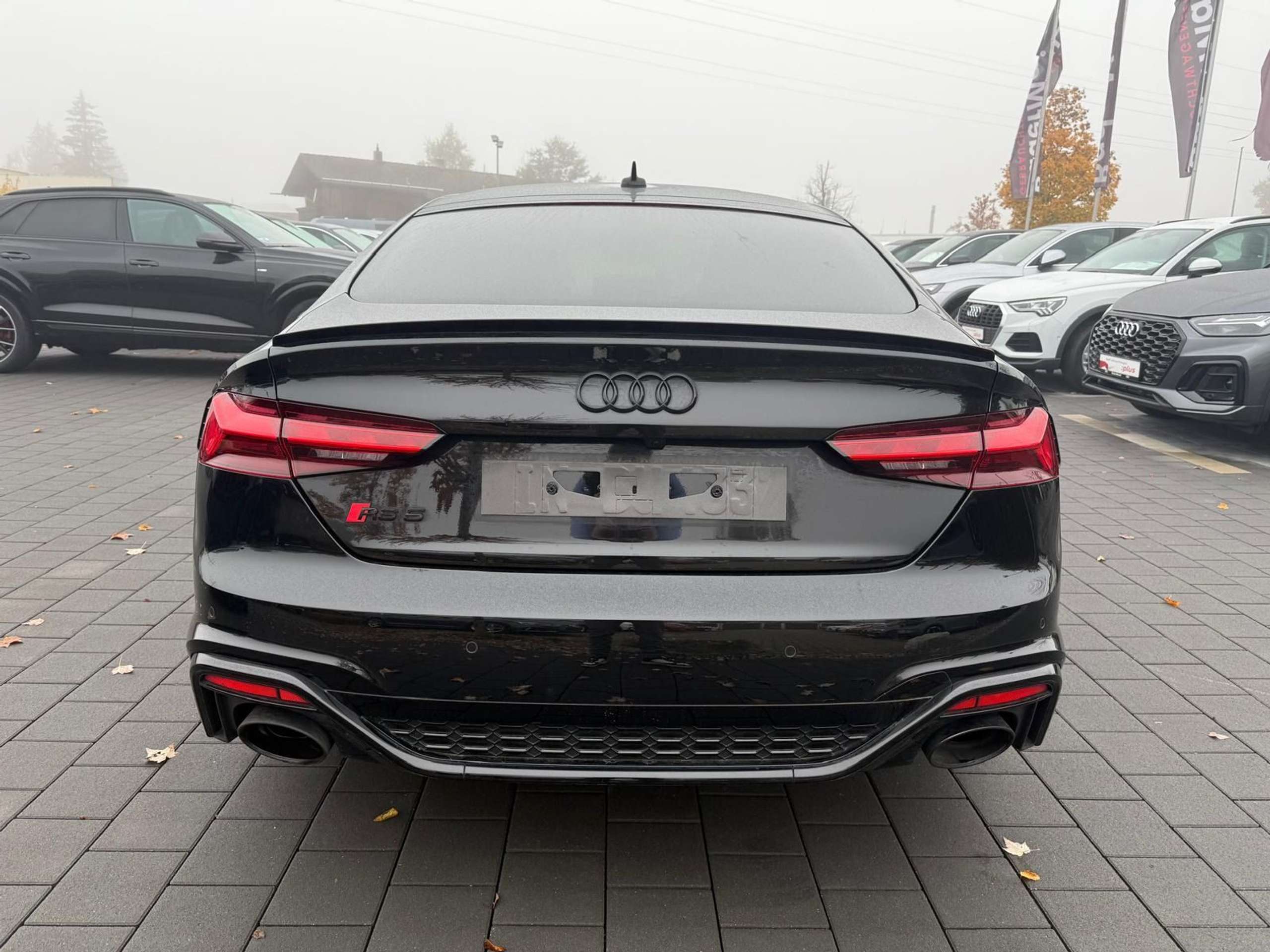 Audi - RS5