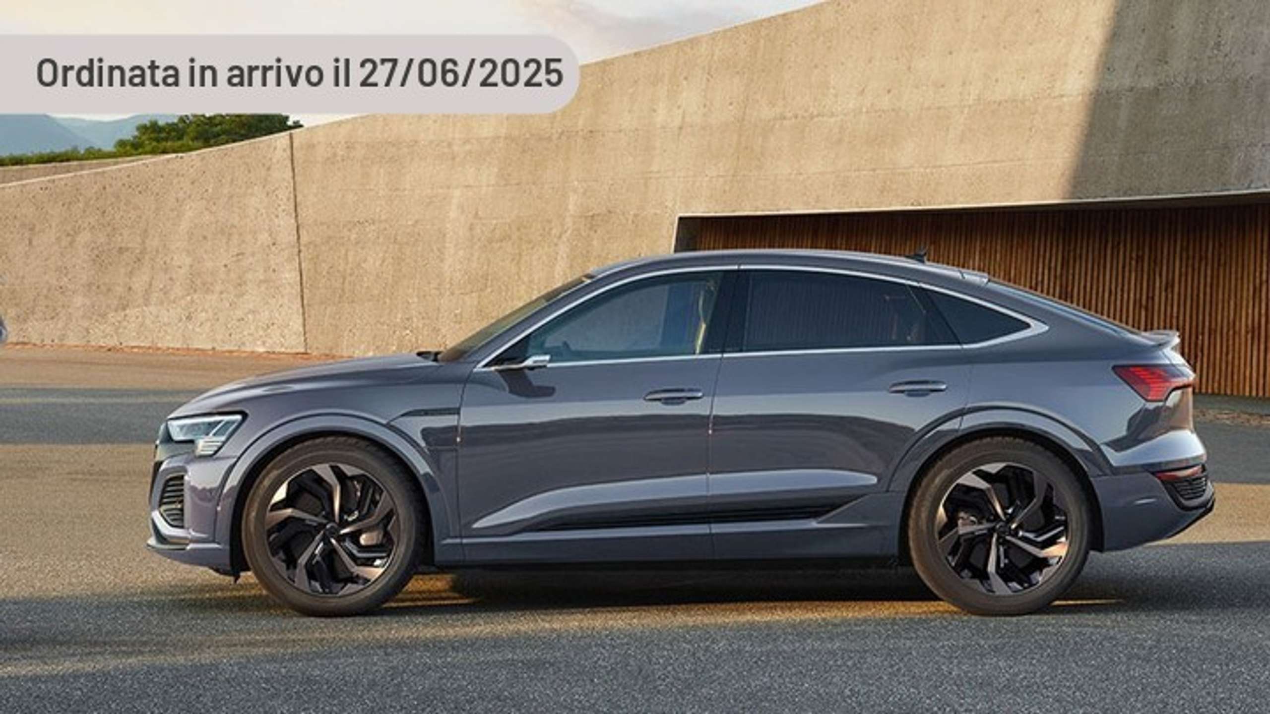 Audi Q8 2021