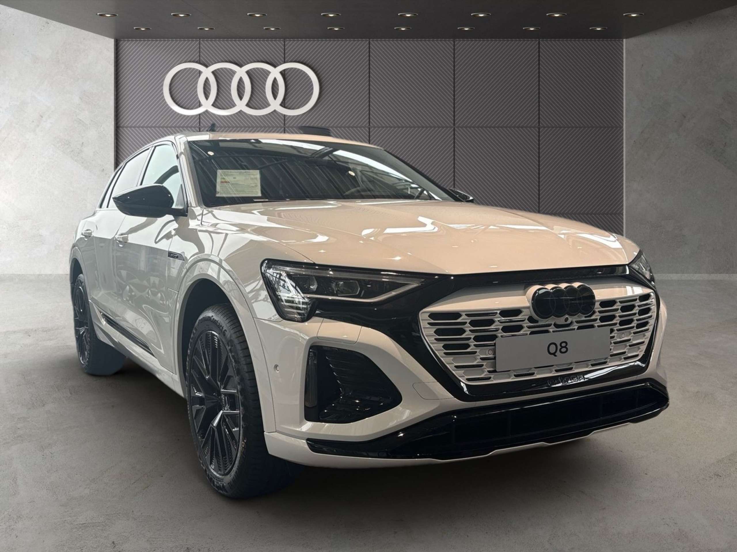 Audi - Q8 e-tron