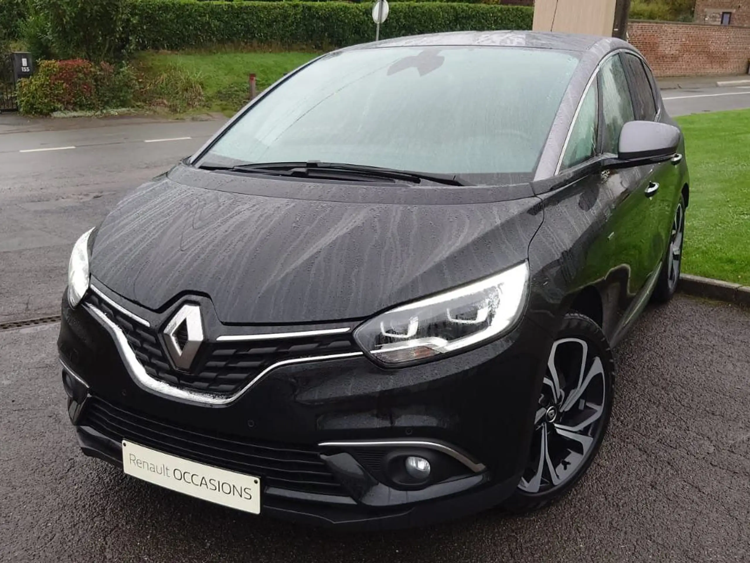 Renault - Scenic