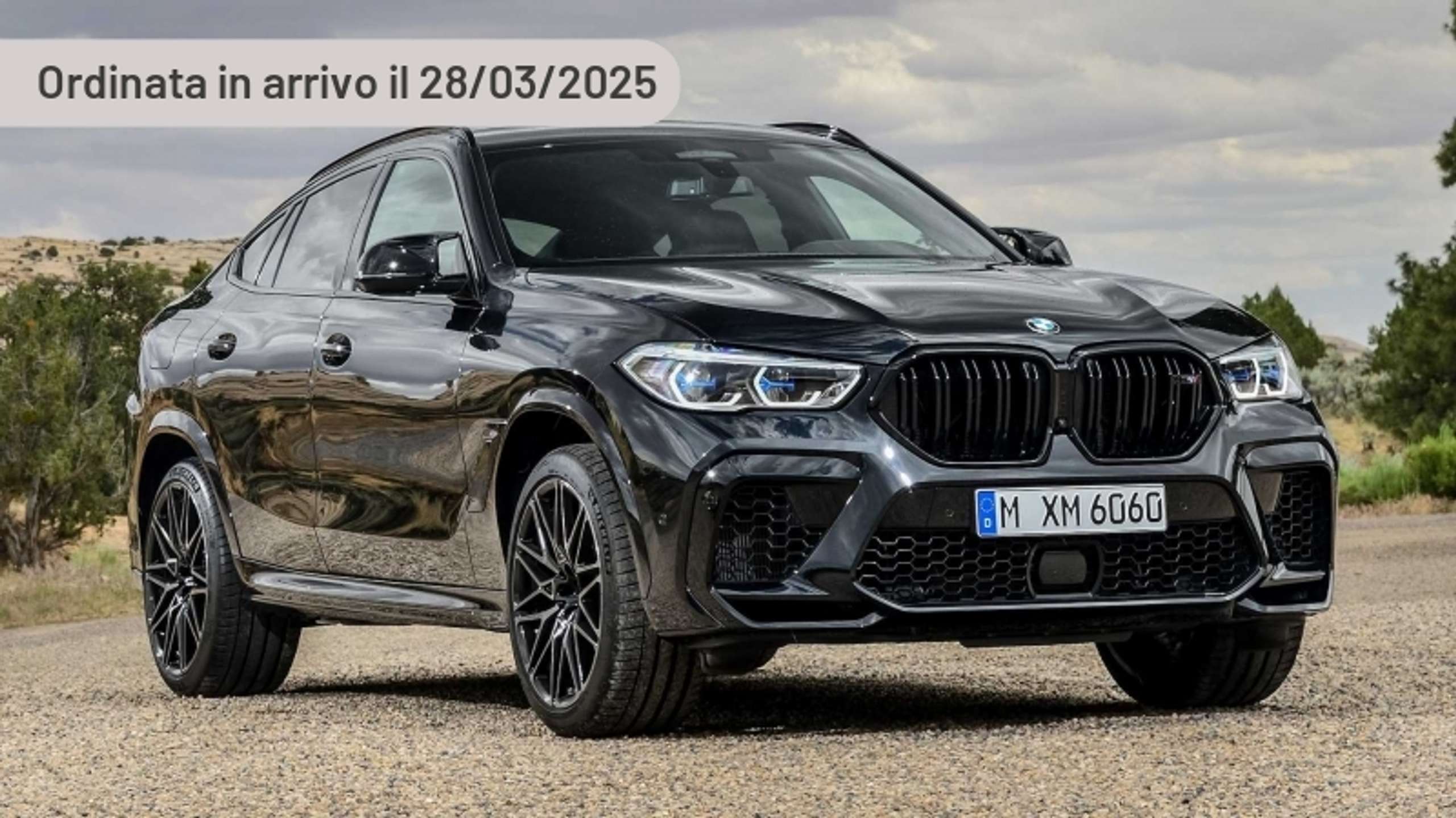 BMW - X6