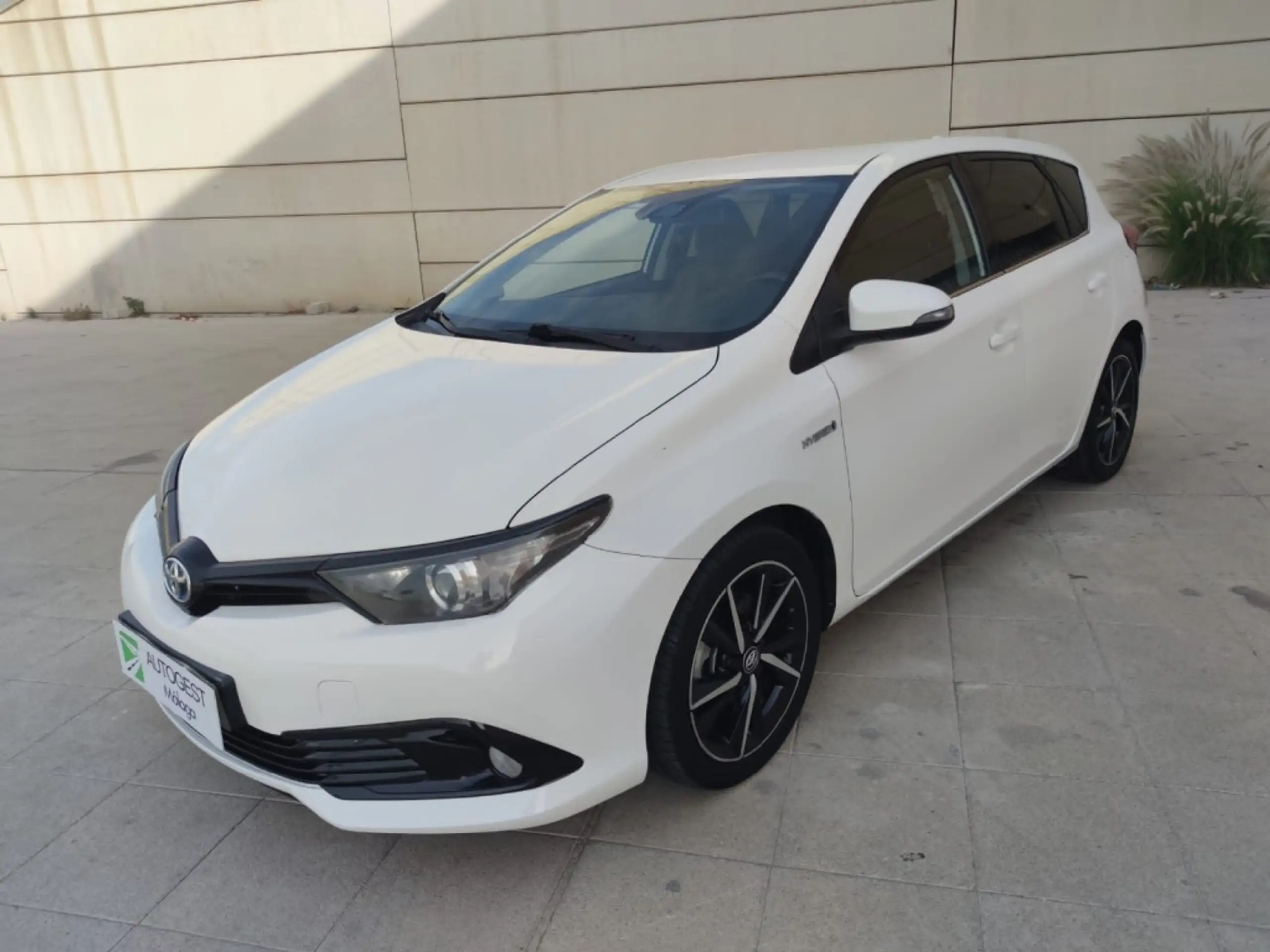 Toyota - Auris