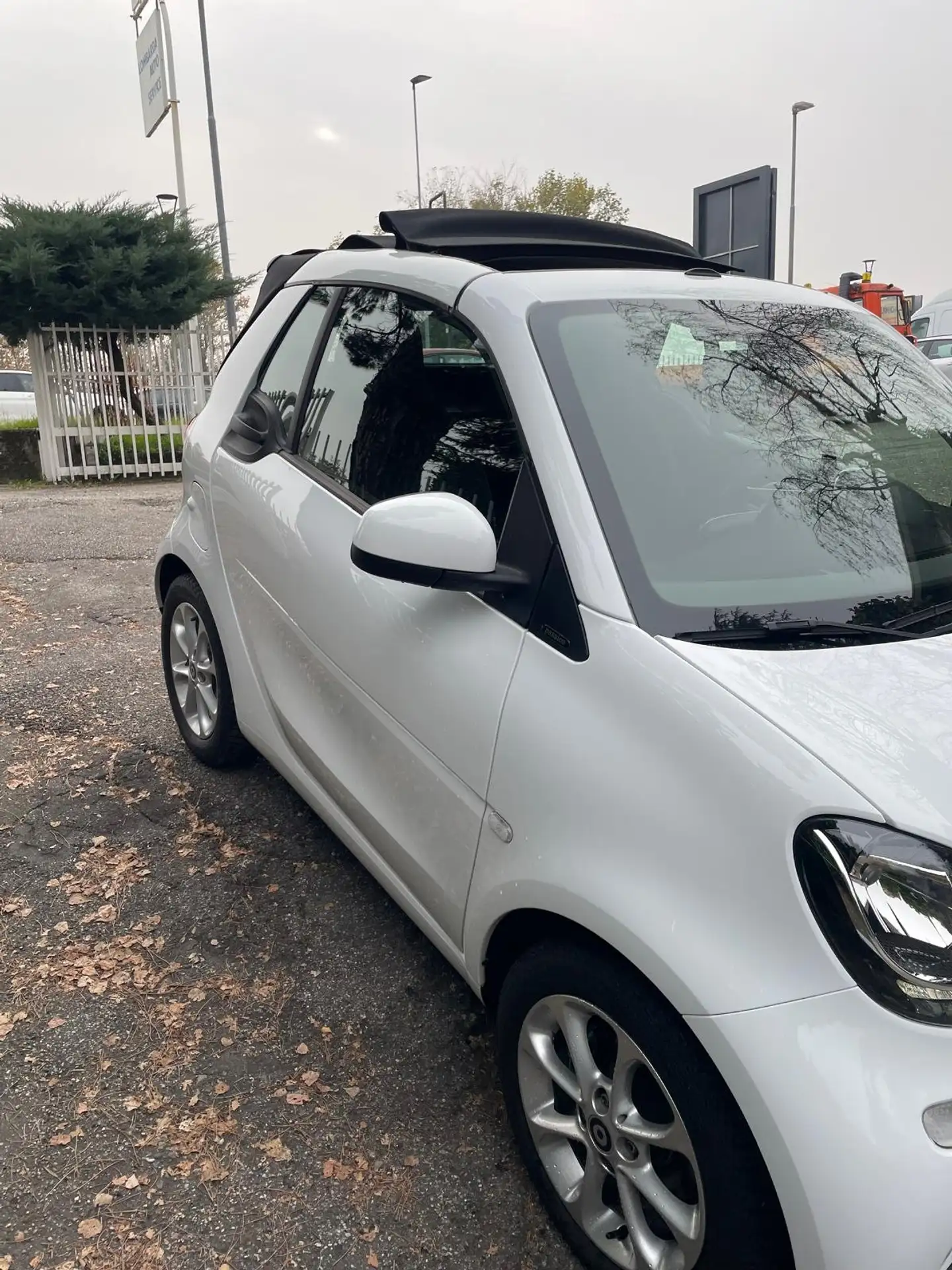 smart - forTwo