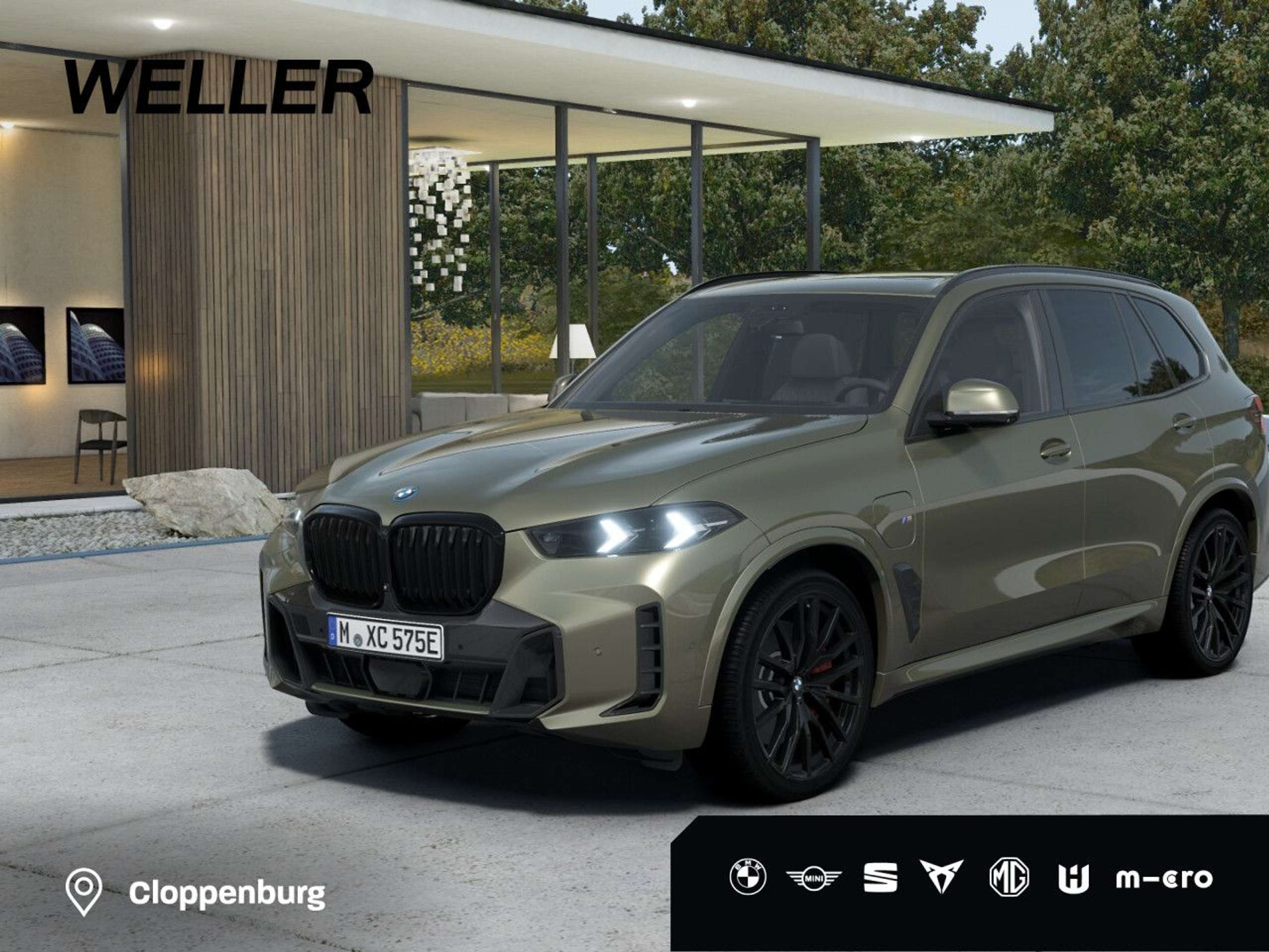 BMW - X5