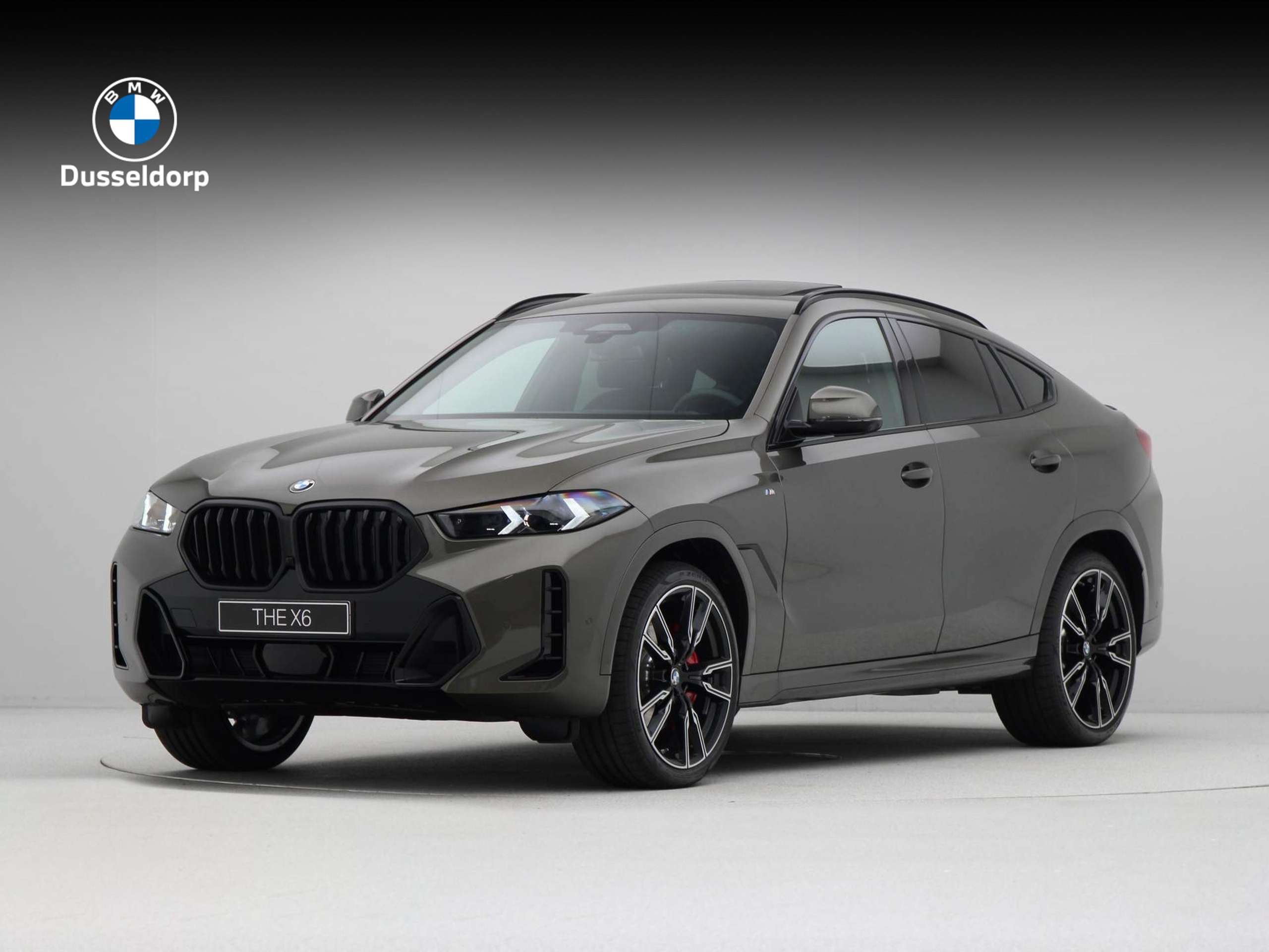 BMW - X6