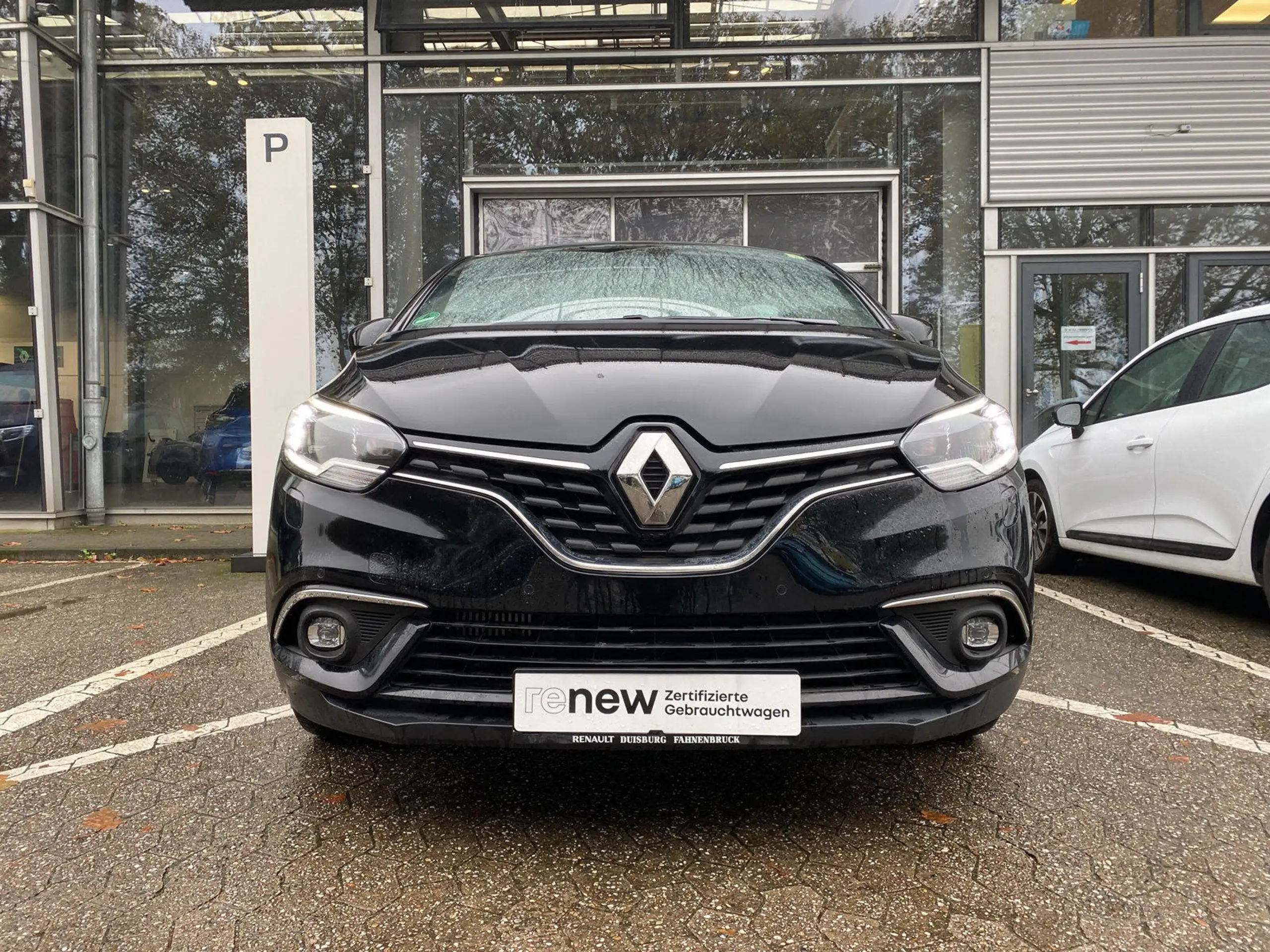 Renault - Scenic