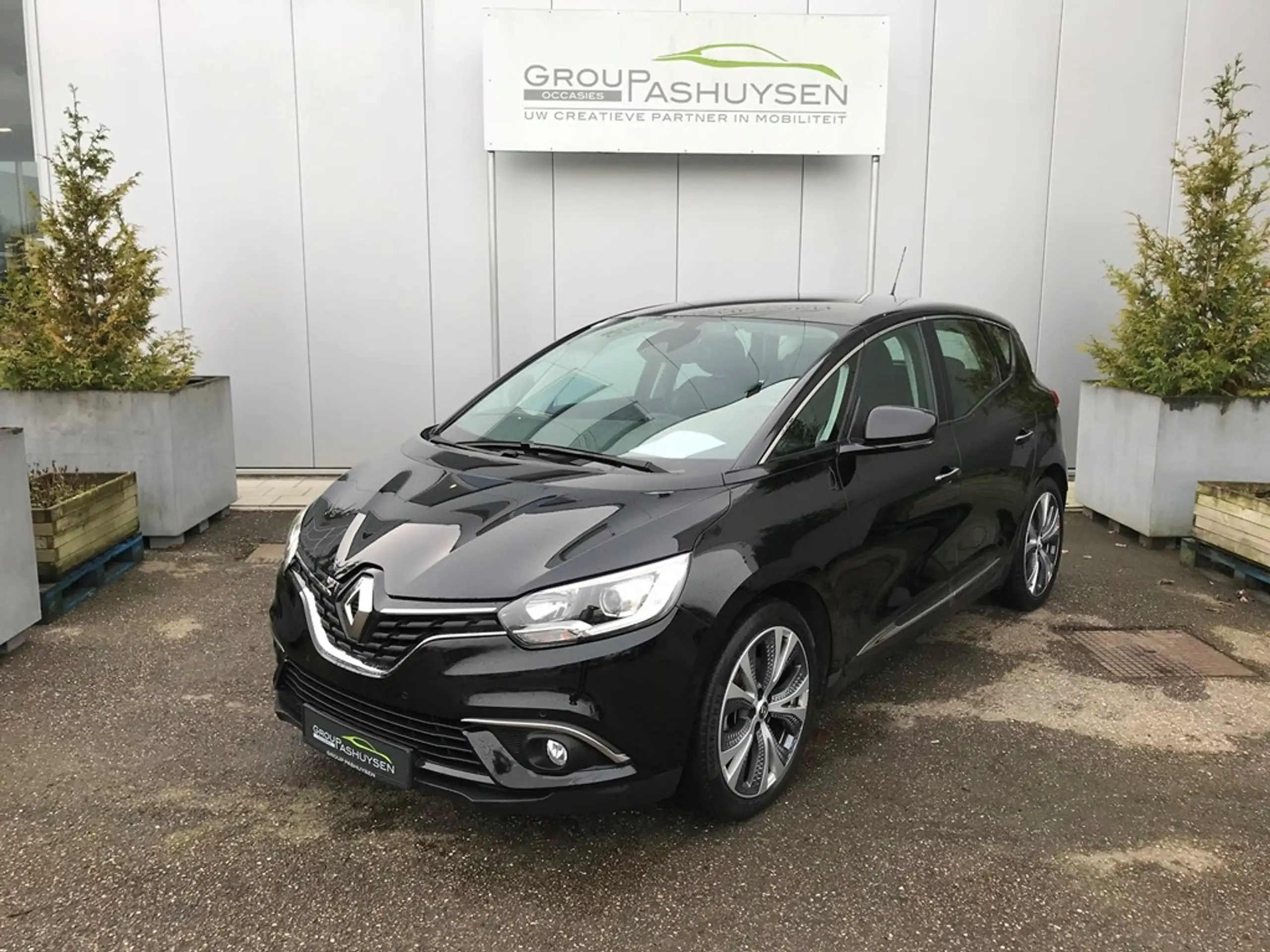 Renault - Scenic