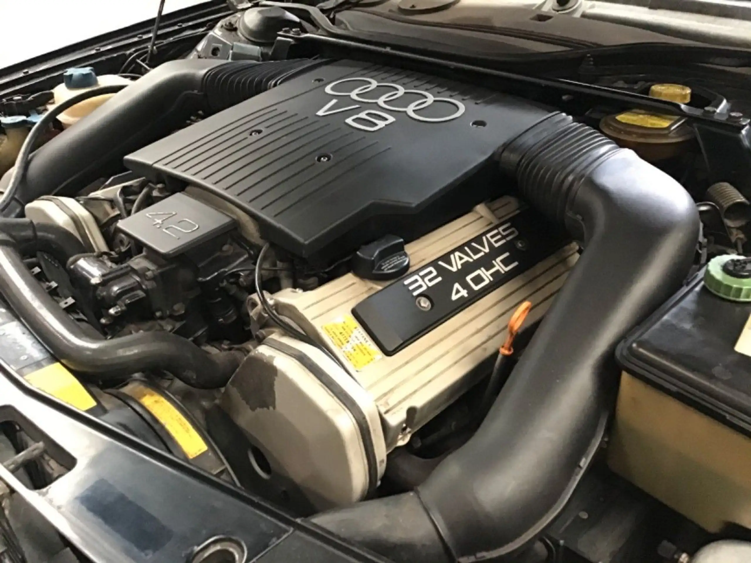 Audi - V8