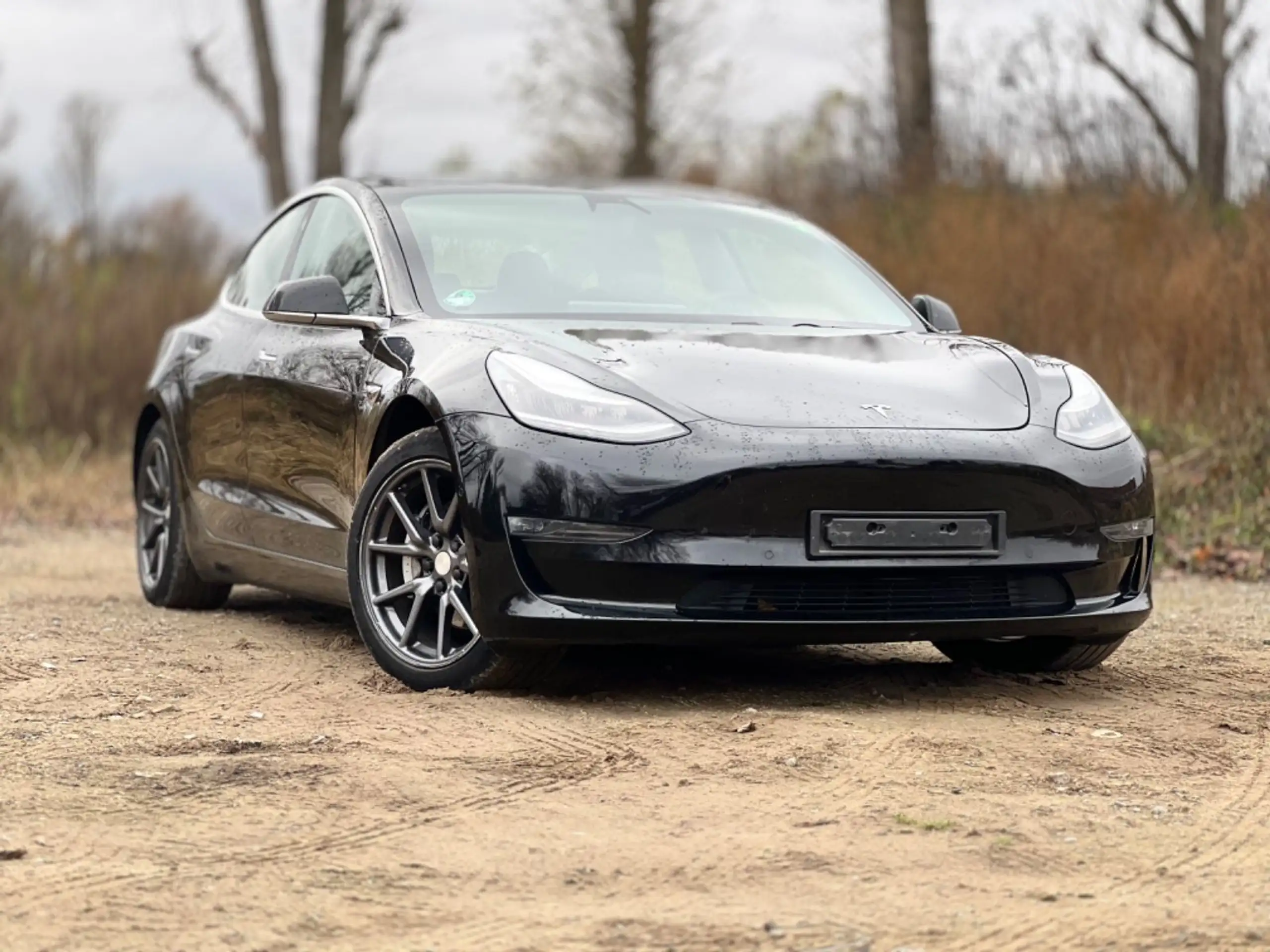 Tesla - Model 3