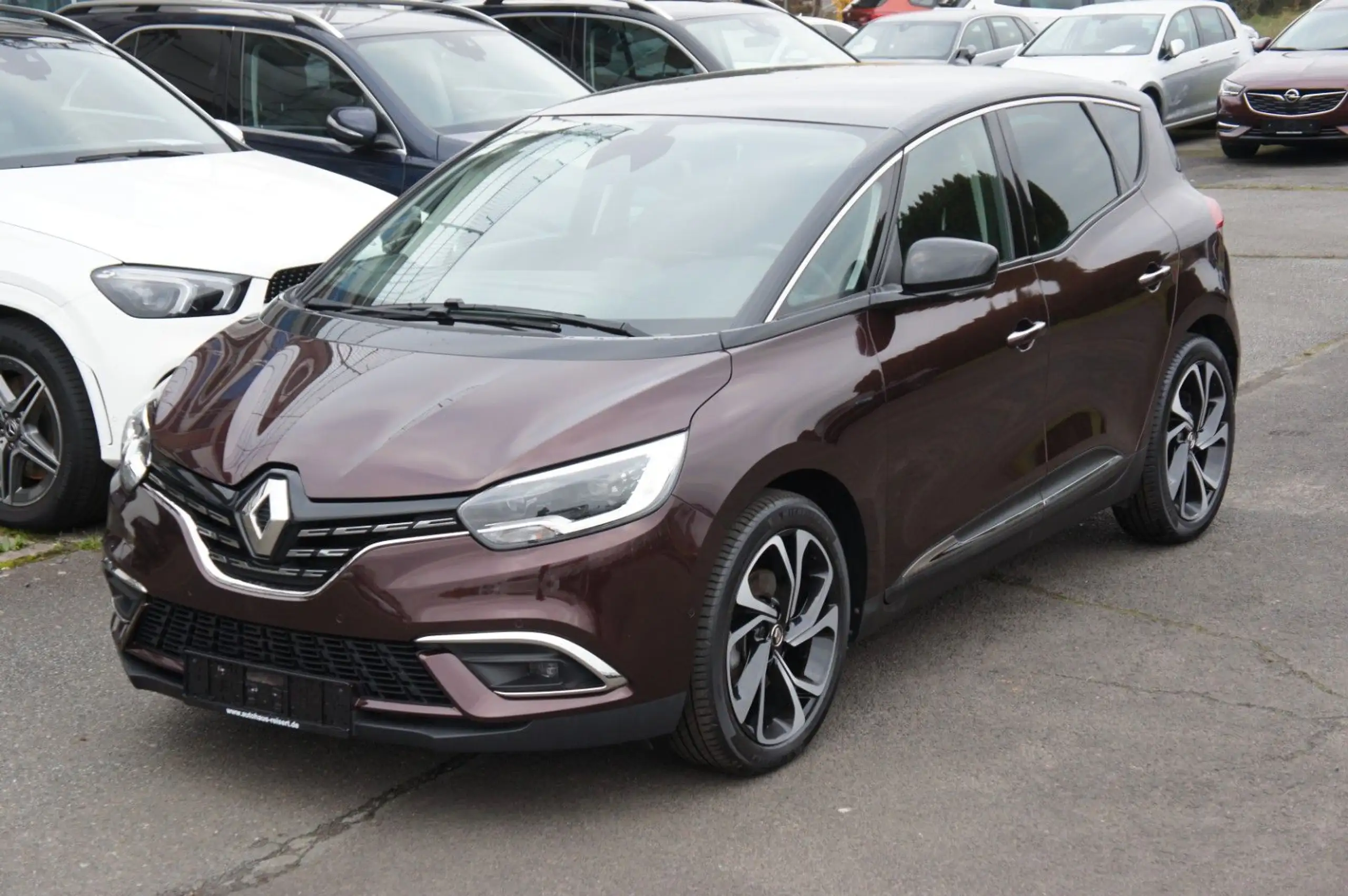 Renault - Scenic