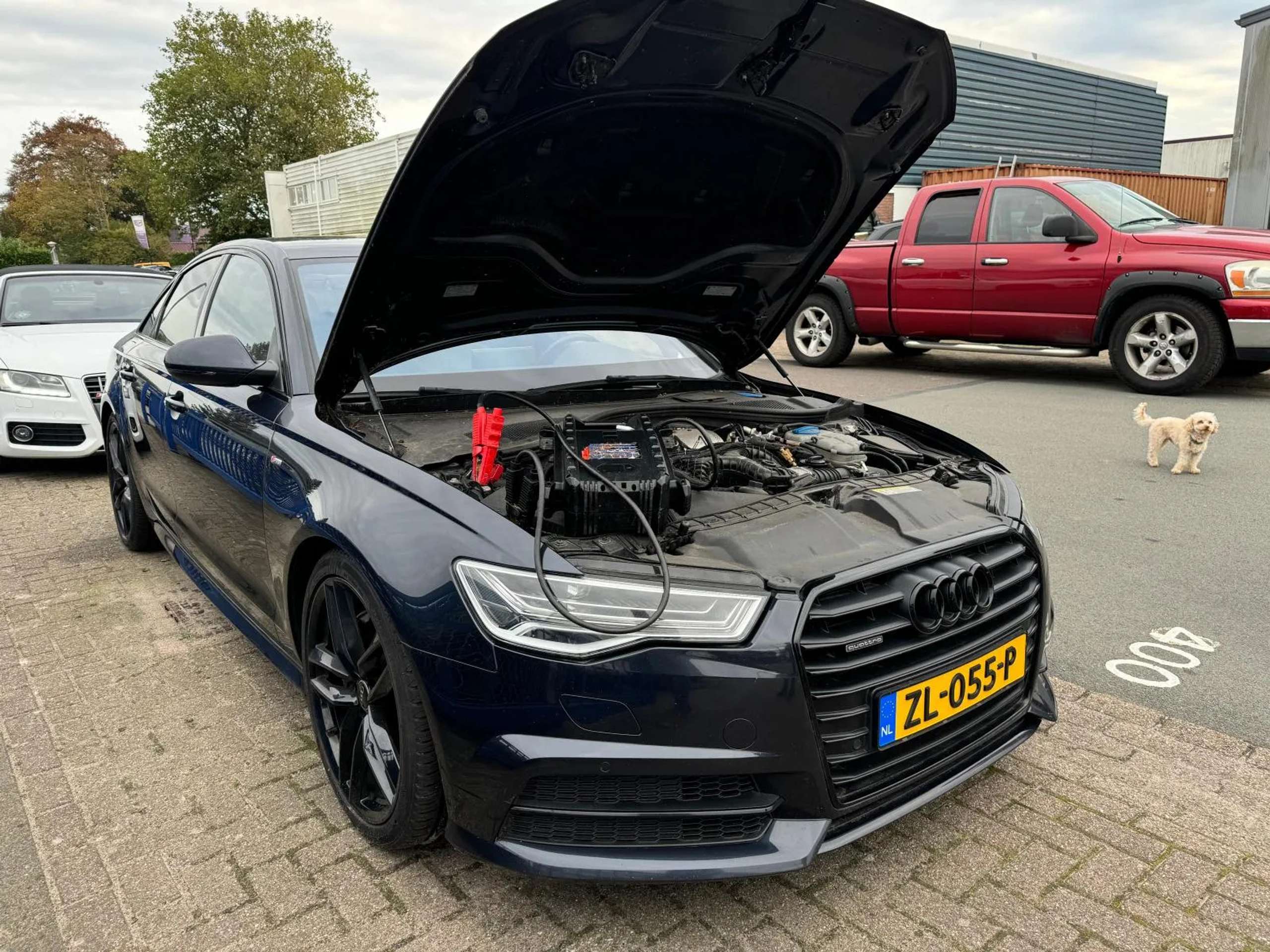 Audi - A6