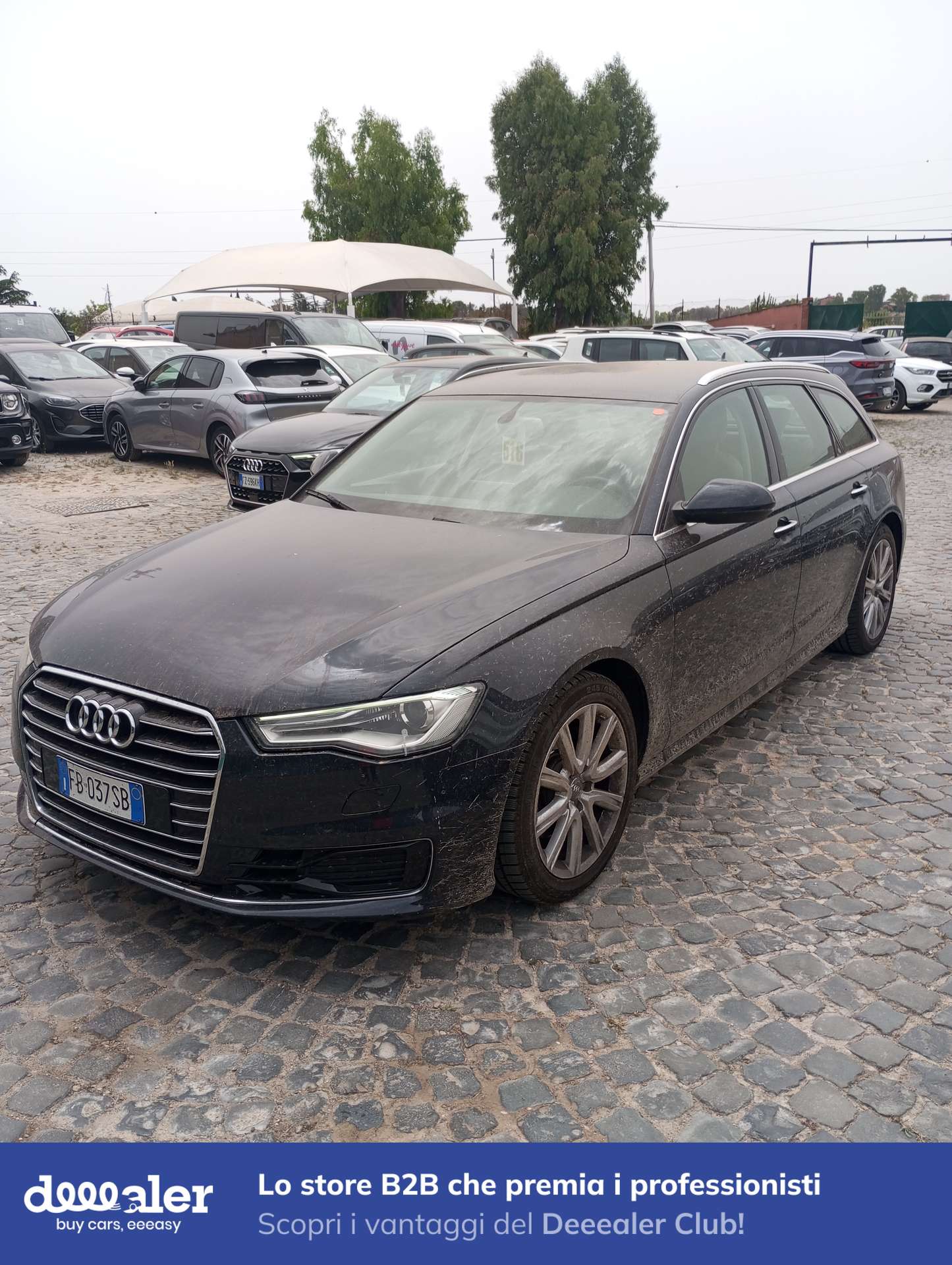 Audi - A6