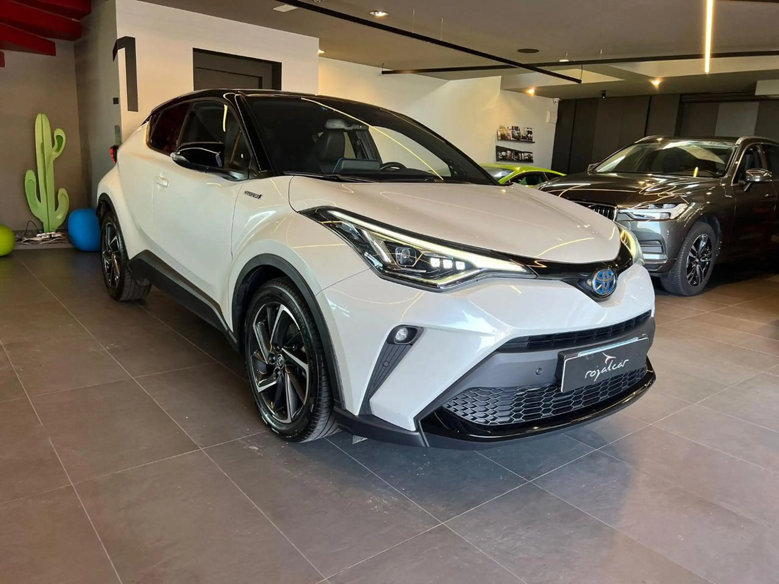 Toyota - C-HR