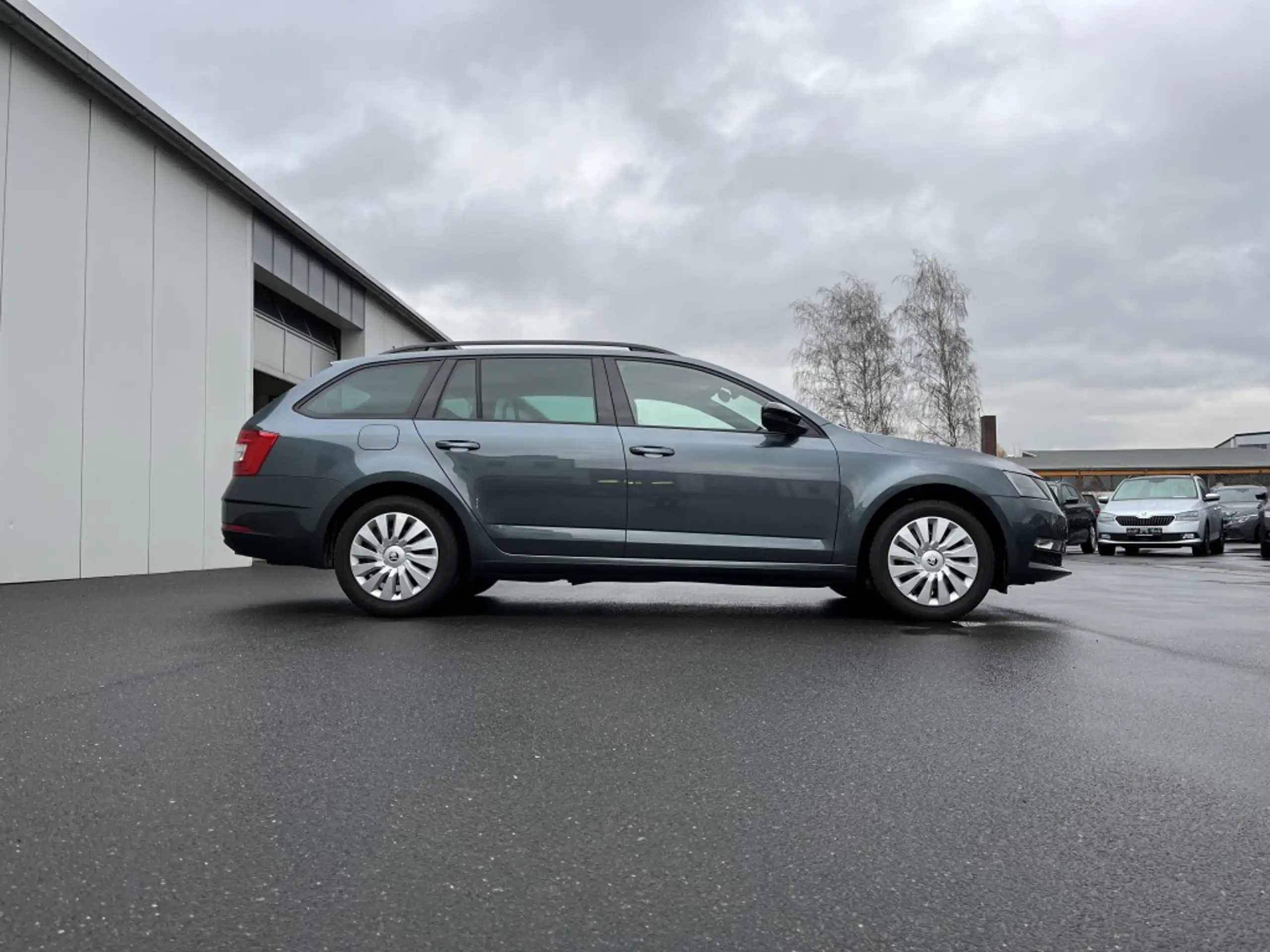 Skoda - Octavia