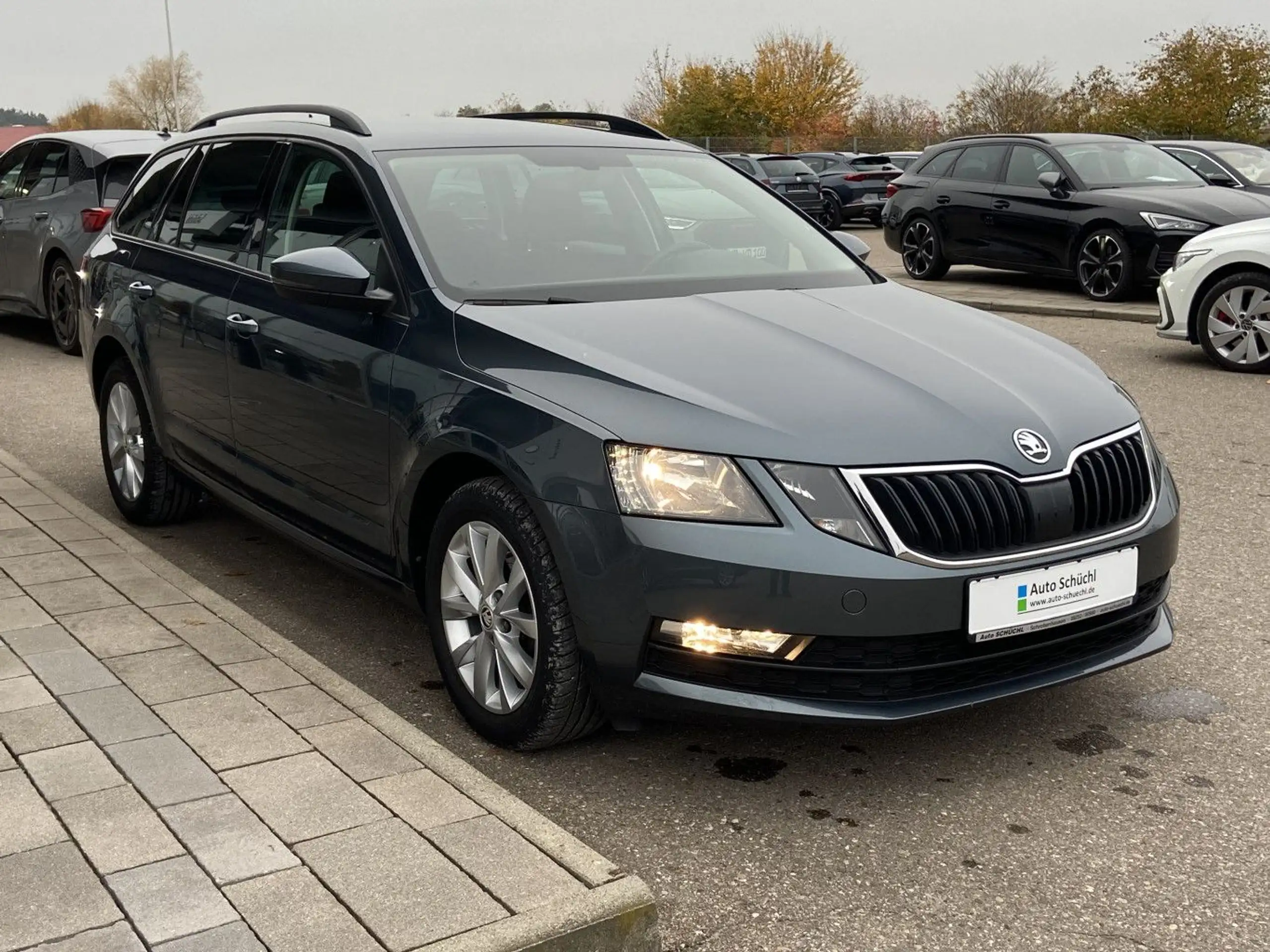 Skoda - Octavia