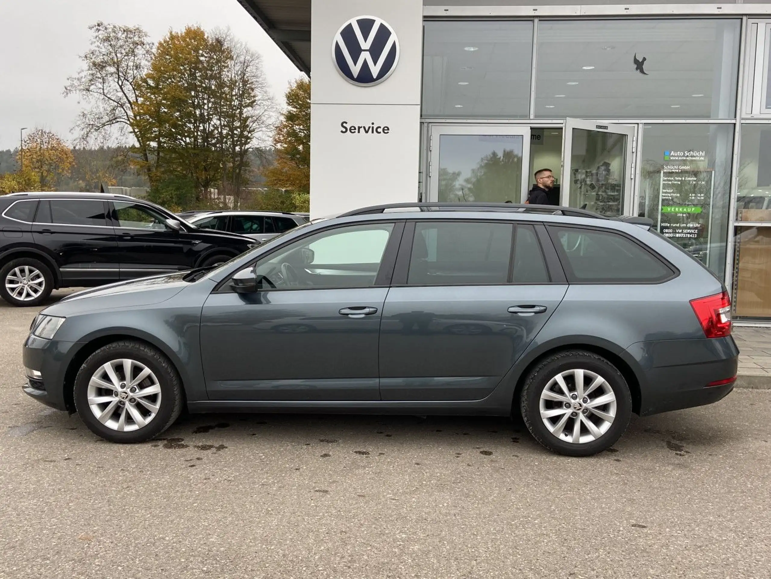 Skoda - Octavia