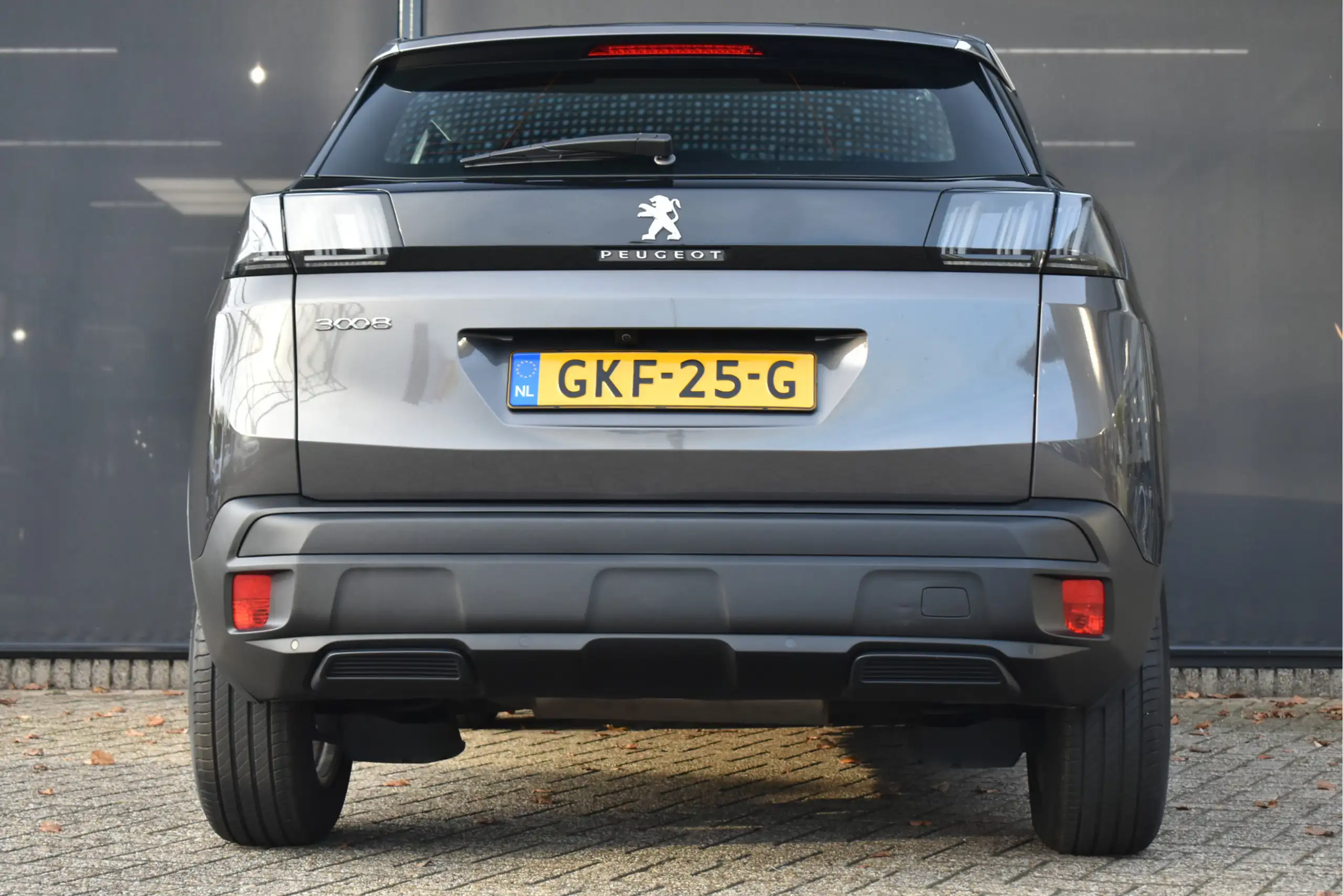 Peugeot - 3008