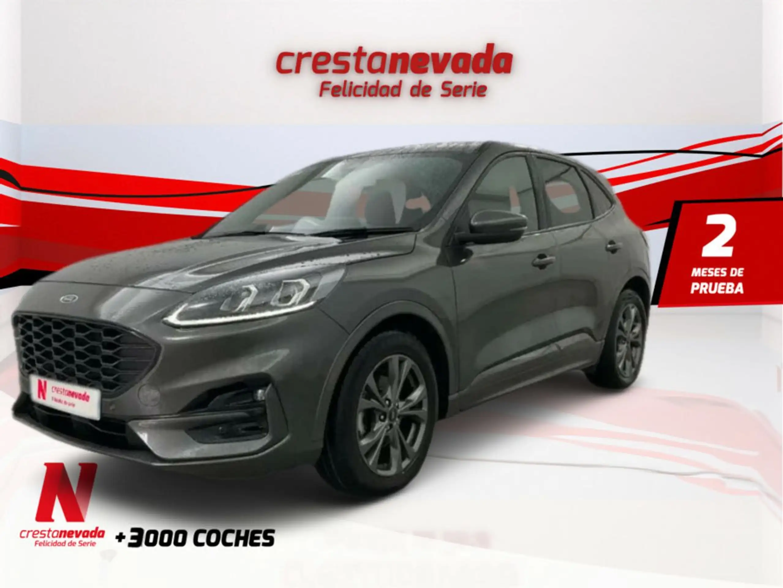 Ford Kuga 2022